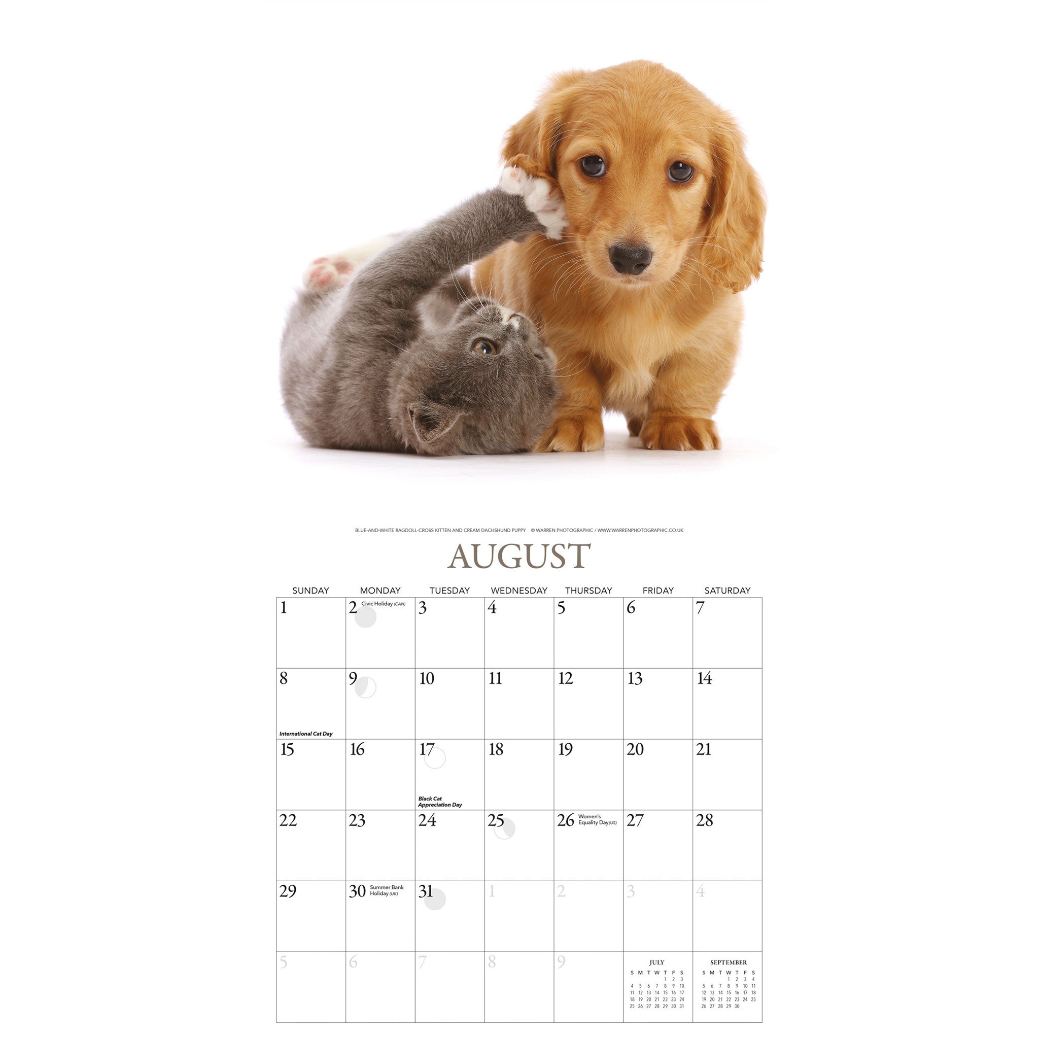 Calendrier mural Chatons et Amis 2027