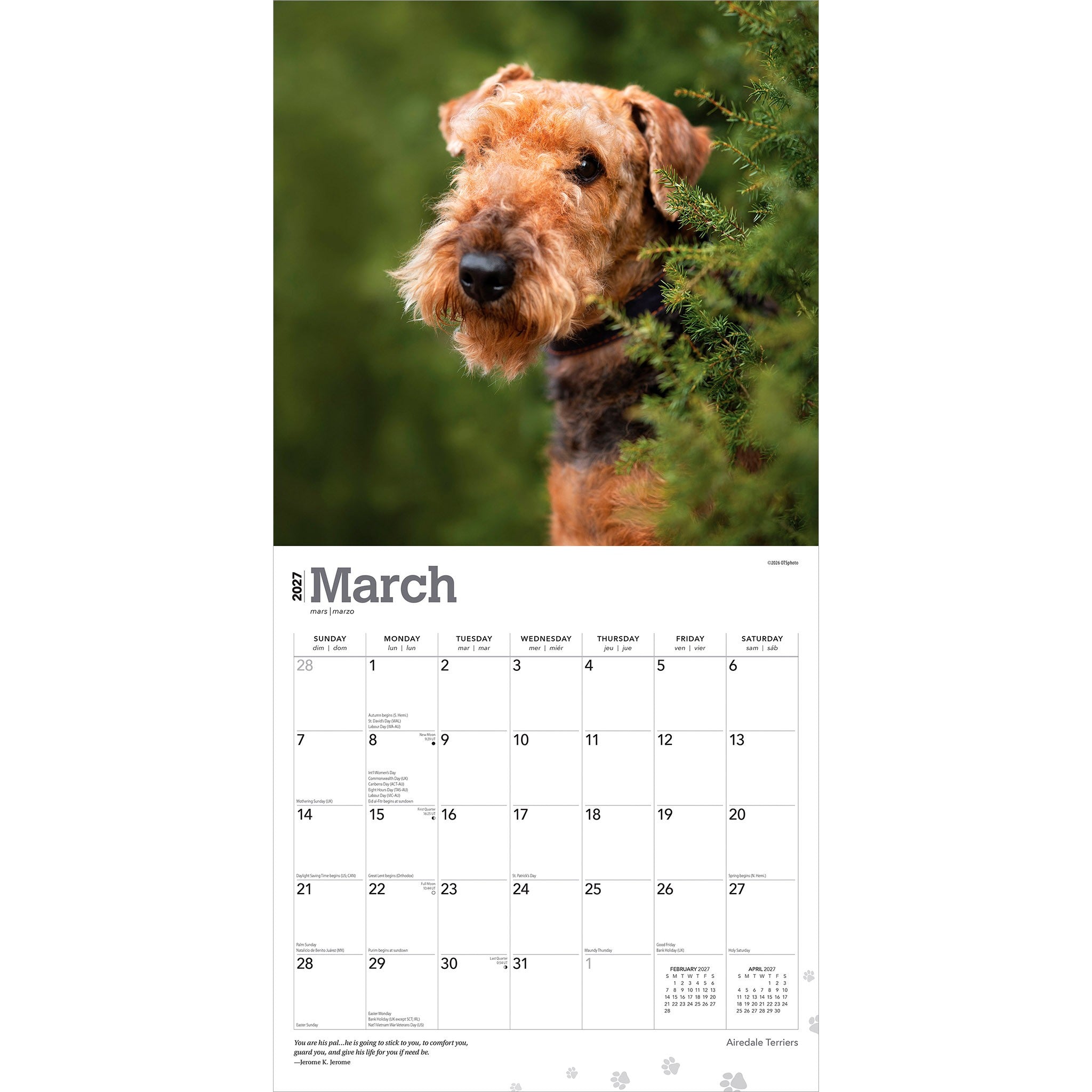 Airedale Terriers 2027 Wall Calendar