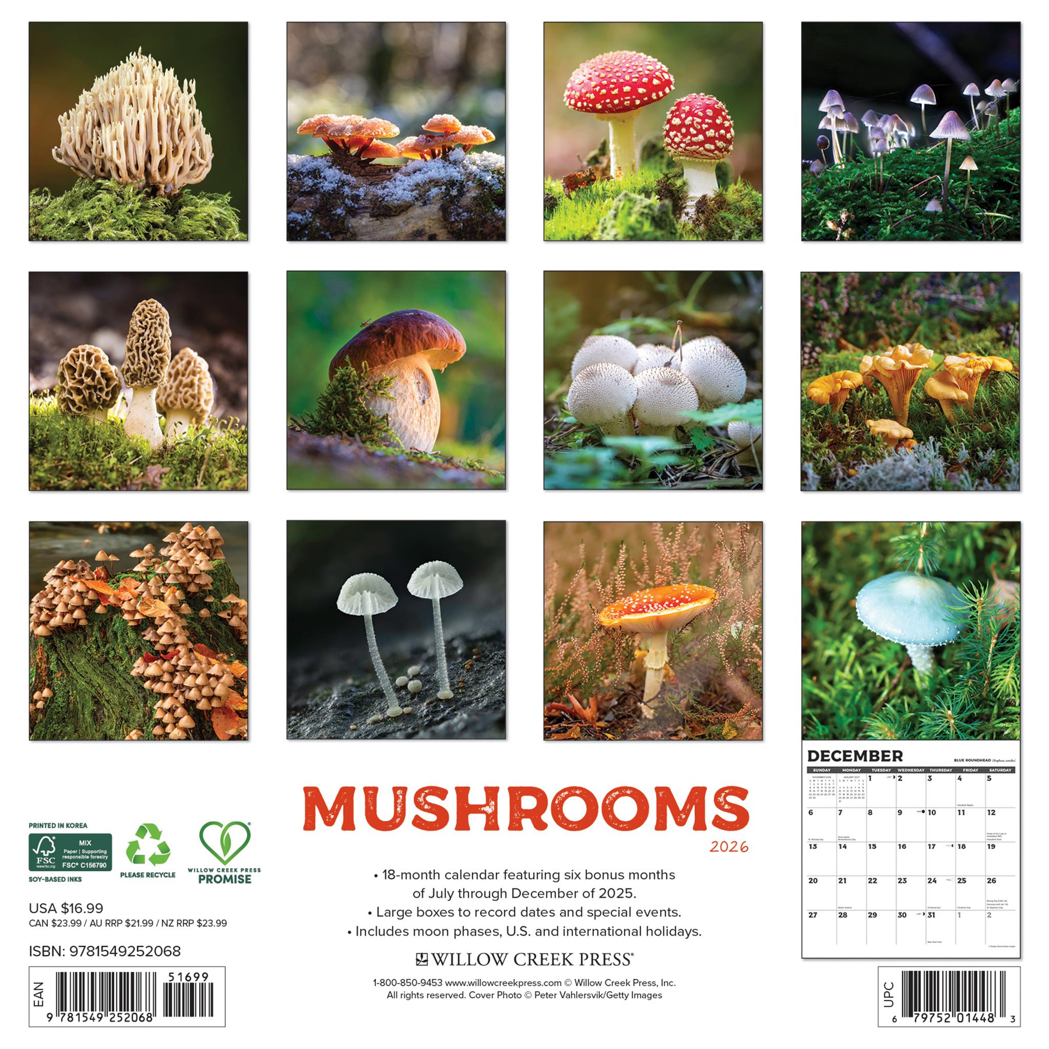 Champignons : L'Art du Calendrier Mural 2026 - Disponible uniquement en ligne