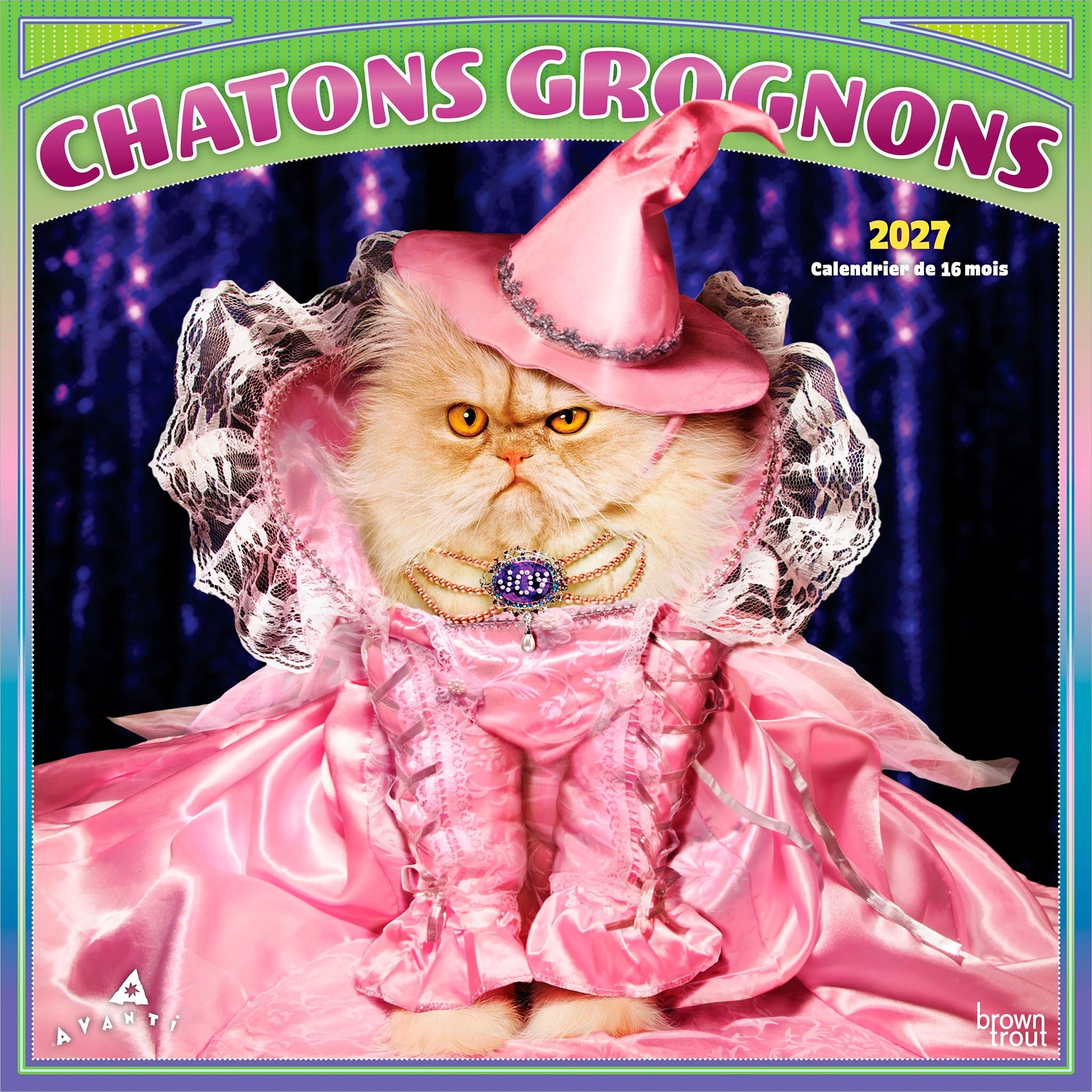 Chatons Grognons 2027 Wall Calendar (French)