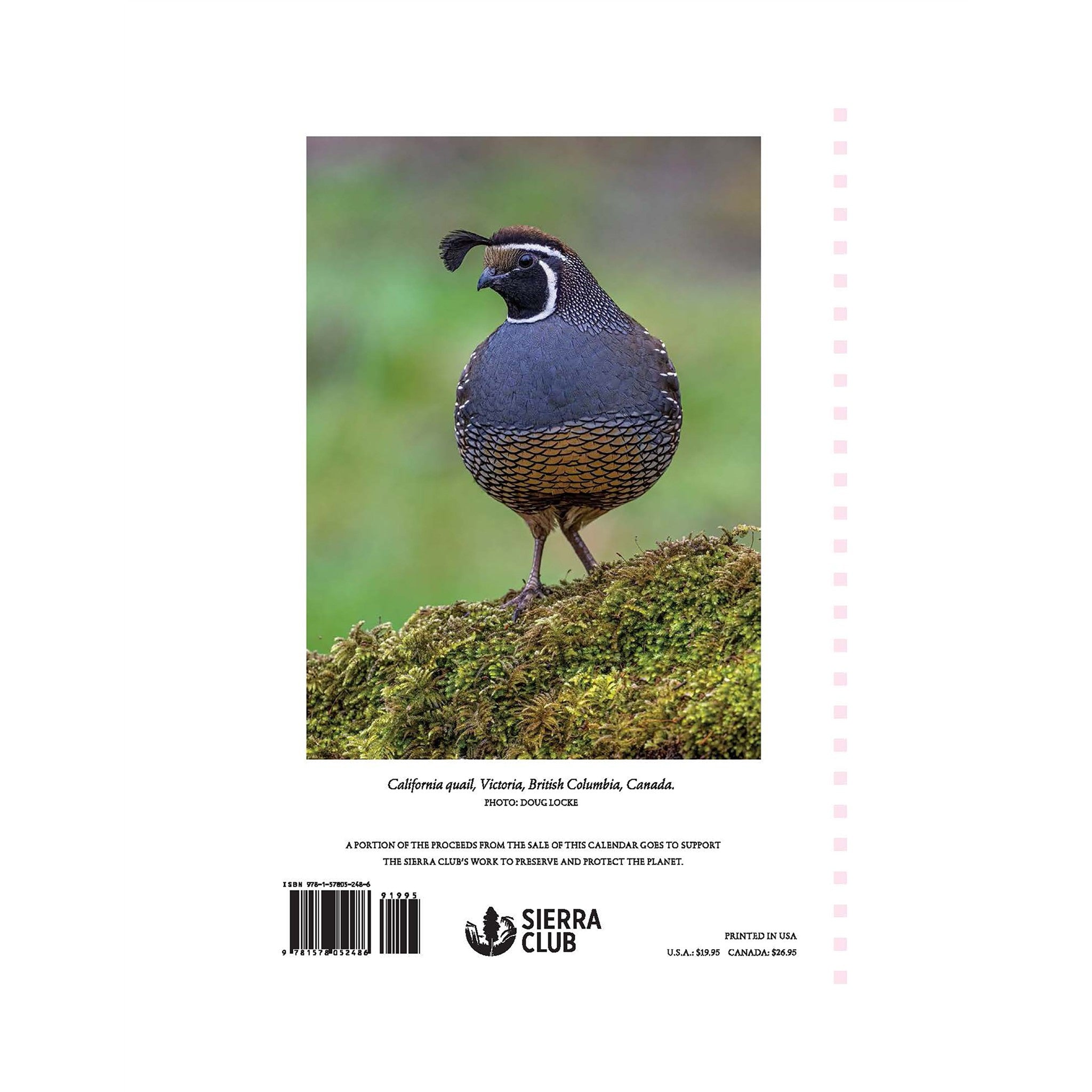 Sierra Club Wilderness 2027 Wall Calendar