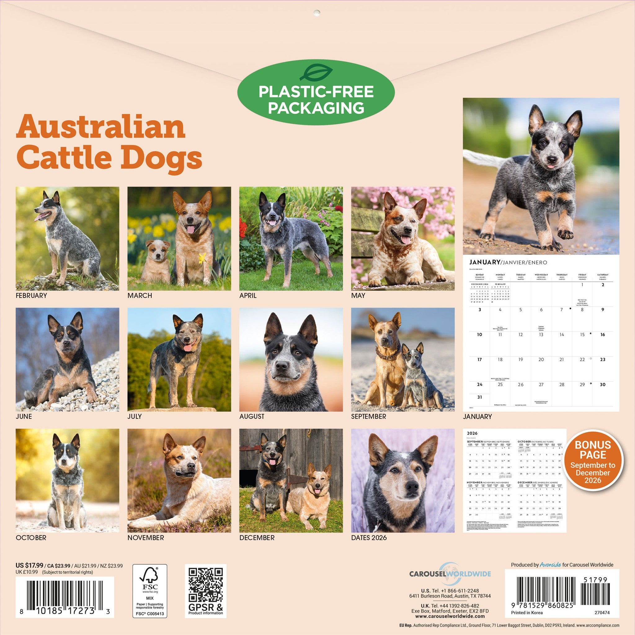 Calendrier mural 2027 Chien de bouvier australien
