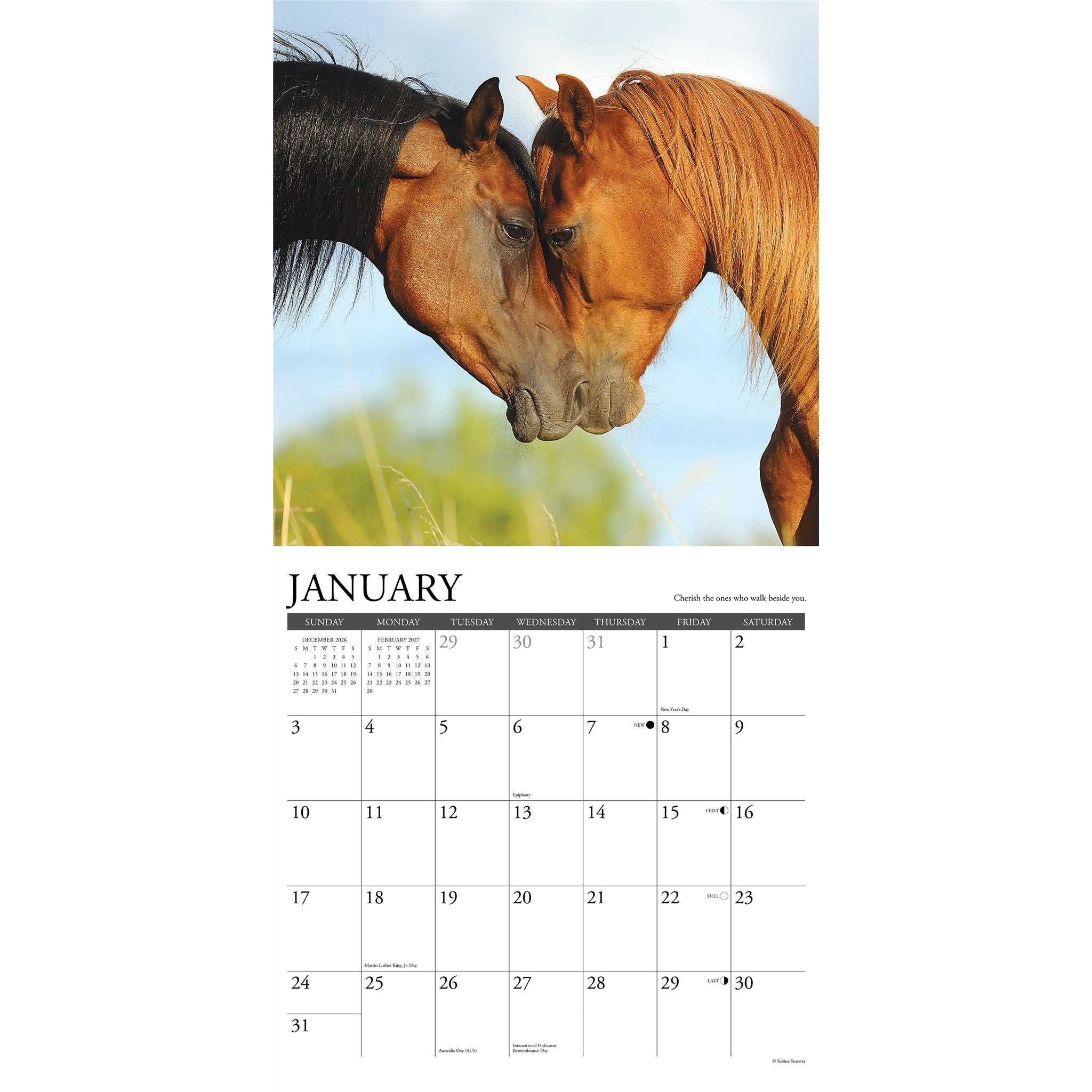 What Horses Teach Us 2027 Wall Calendar