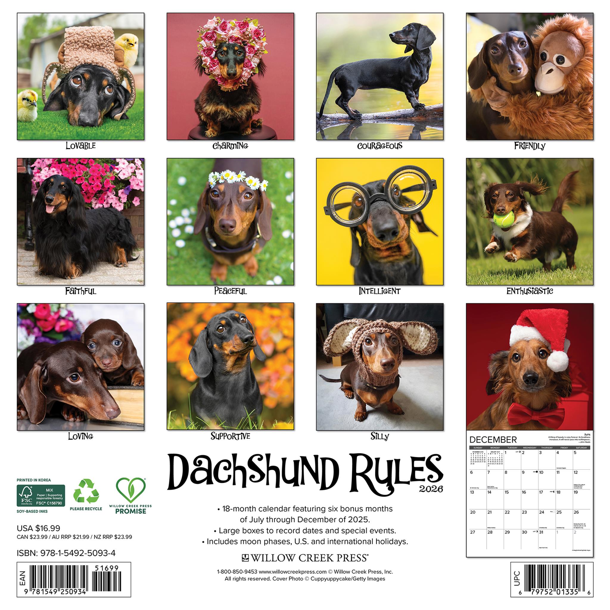 Calendrier mural Dachshund Rules 2026