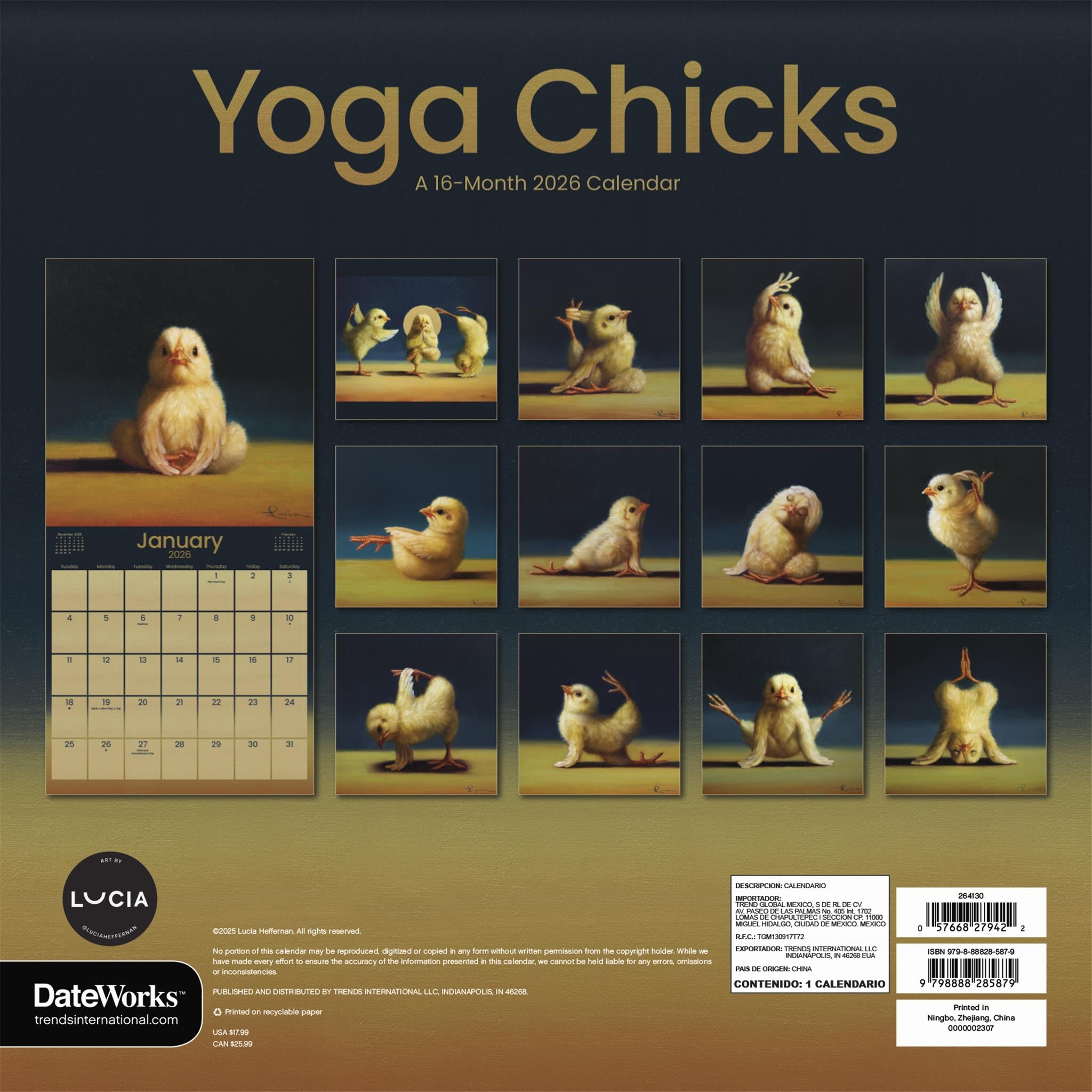 Calendrier mural Yoga Chicks 2026