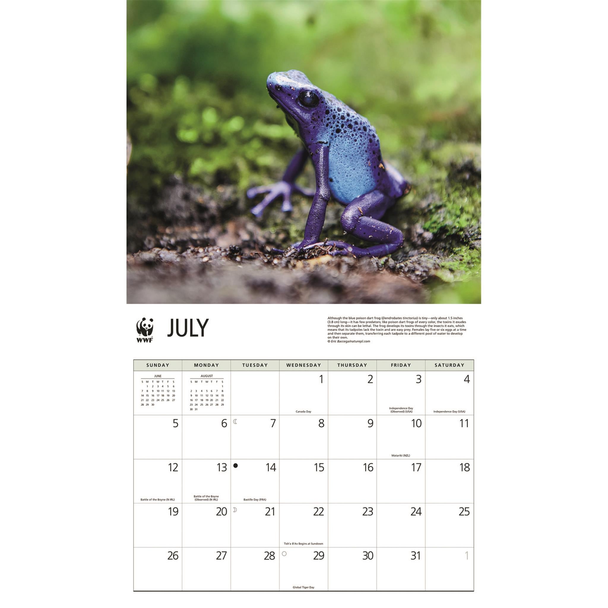 World Wildlife Fund Frogs 2026 Wall Calendar