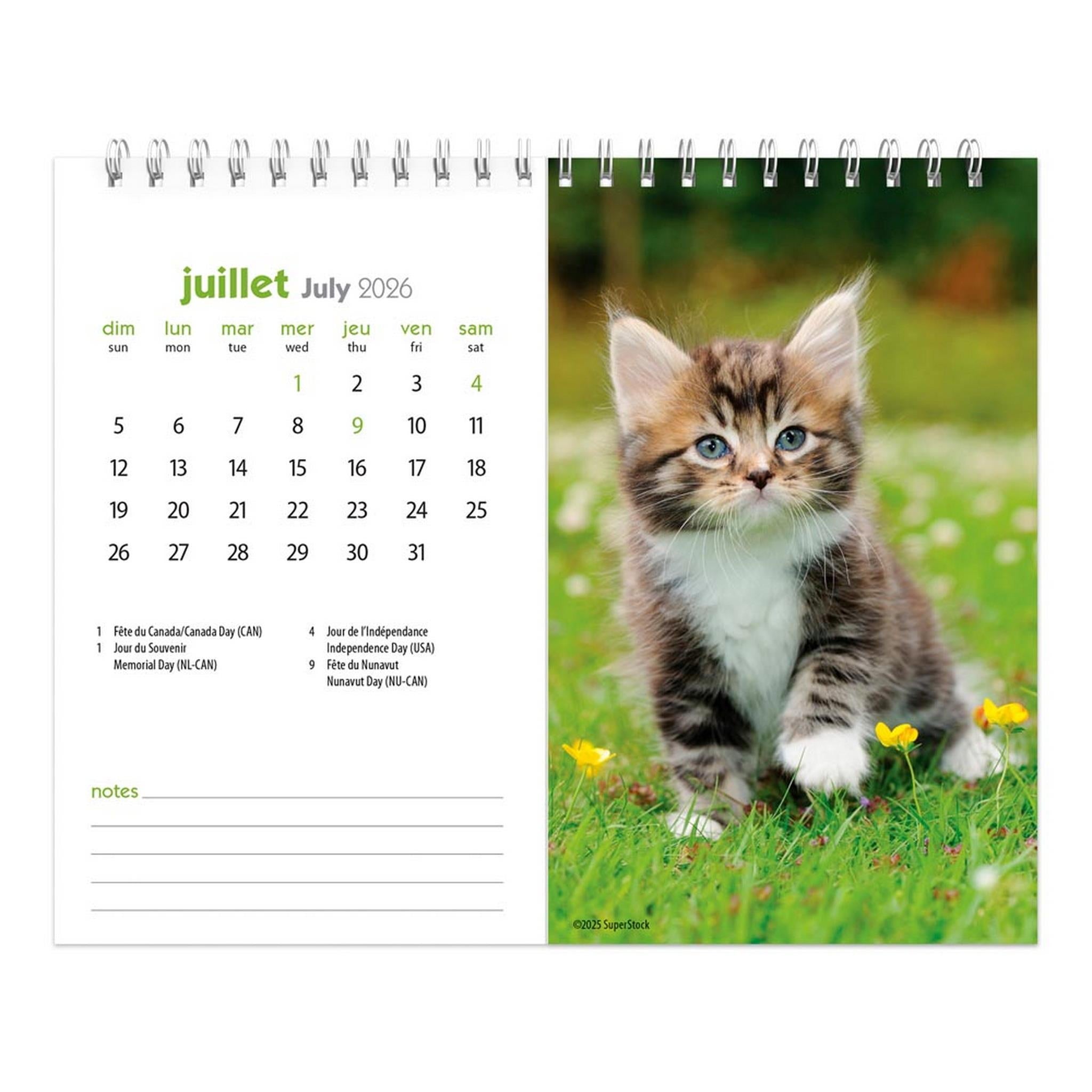 Calendrier chevalet double vue Chatons 2026 (français)