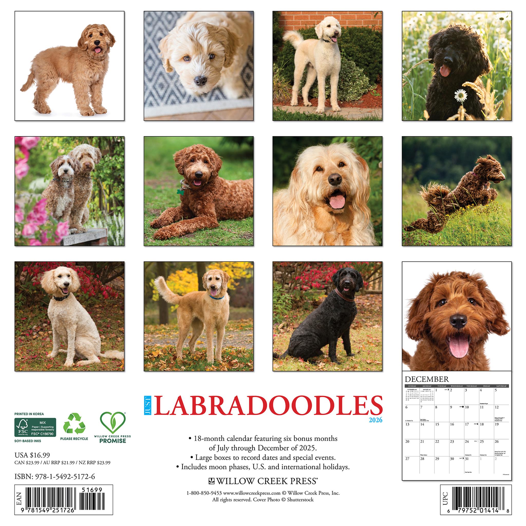 Calendrier mural Just Labradoodles 2026