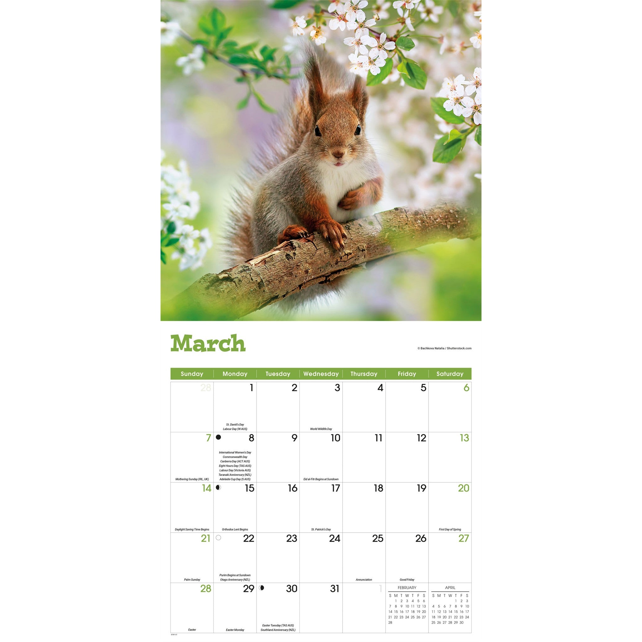 Squirrels 2027 Wall Calendar