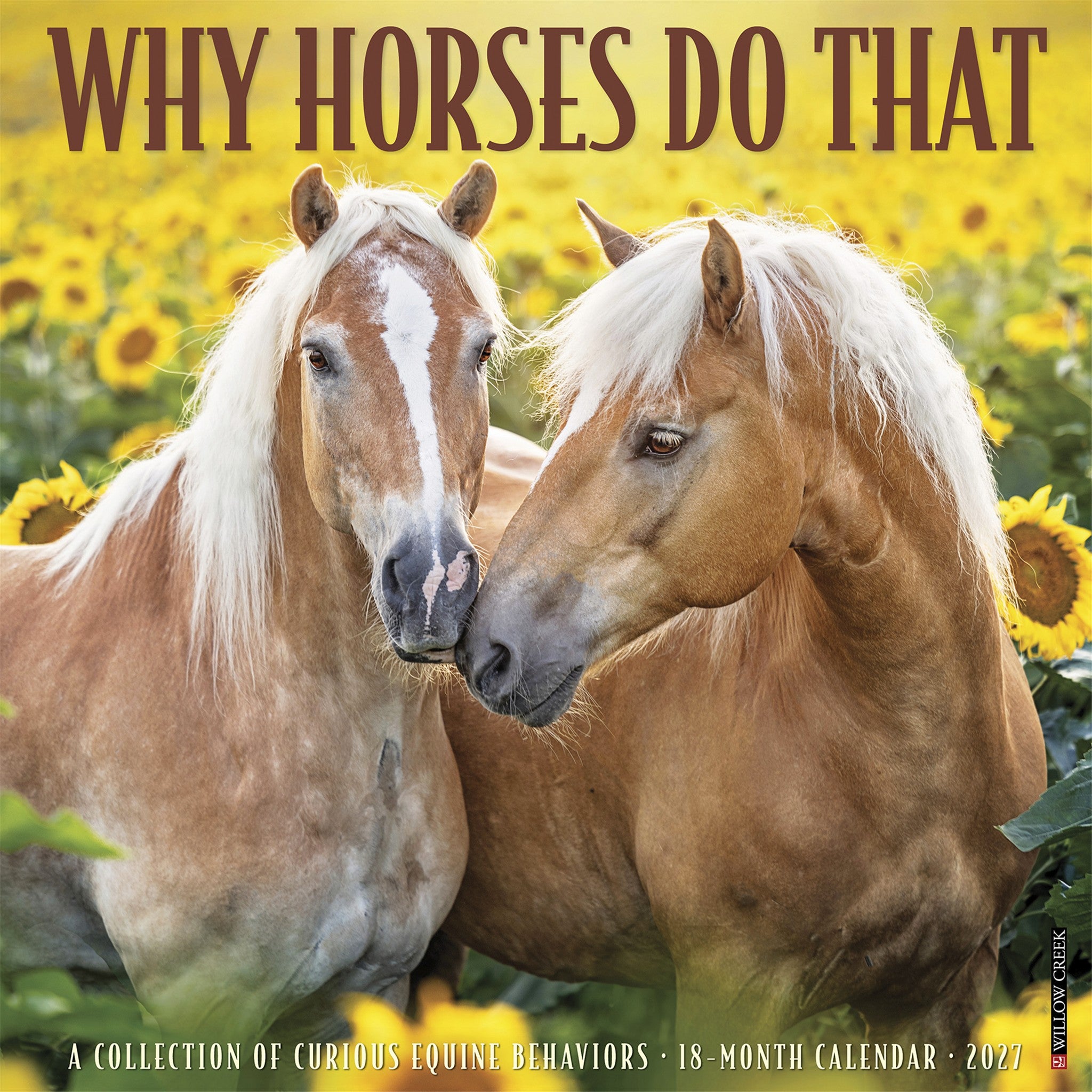 Why Horses Do That 2027 Wall Calendar