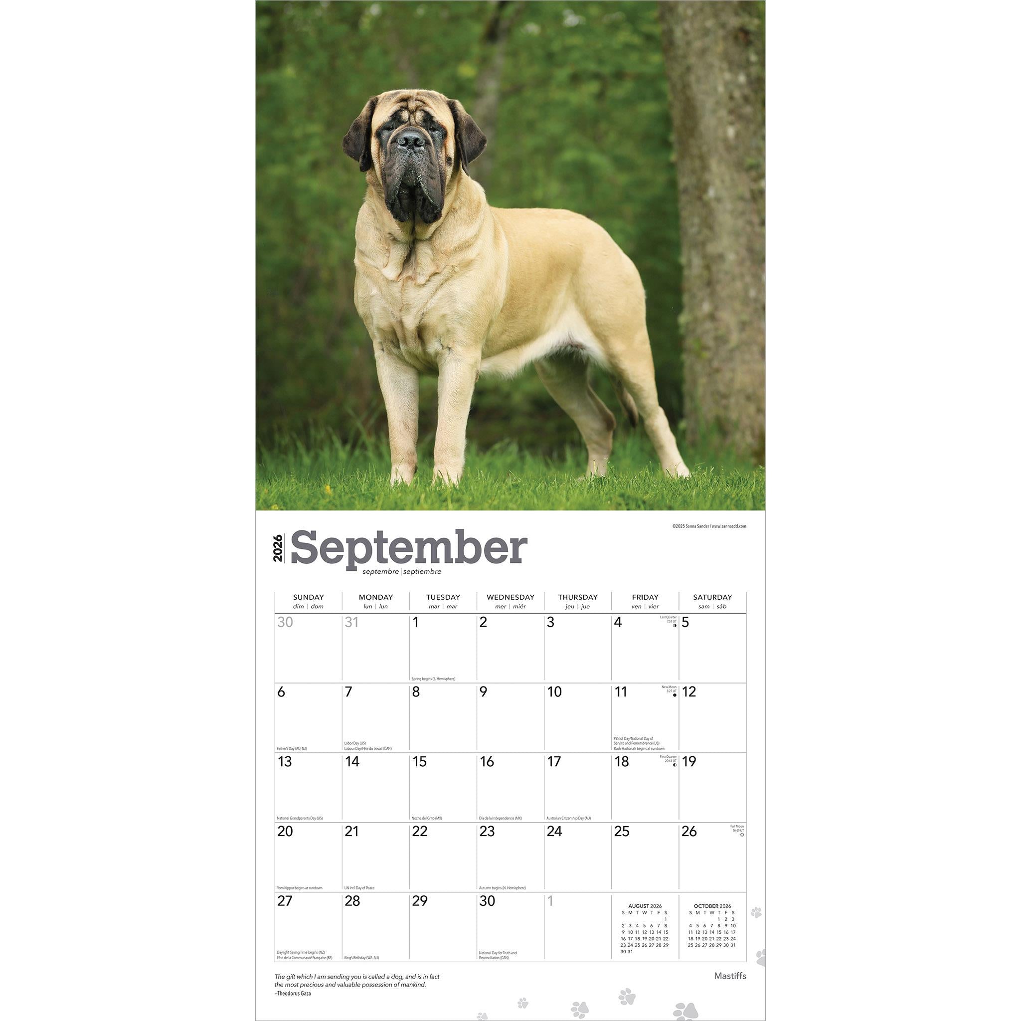 Mastiffs 2026 Wall Calendar
