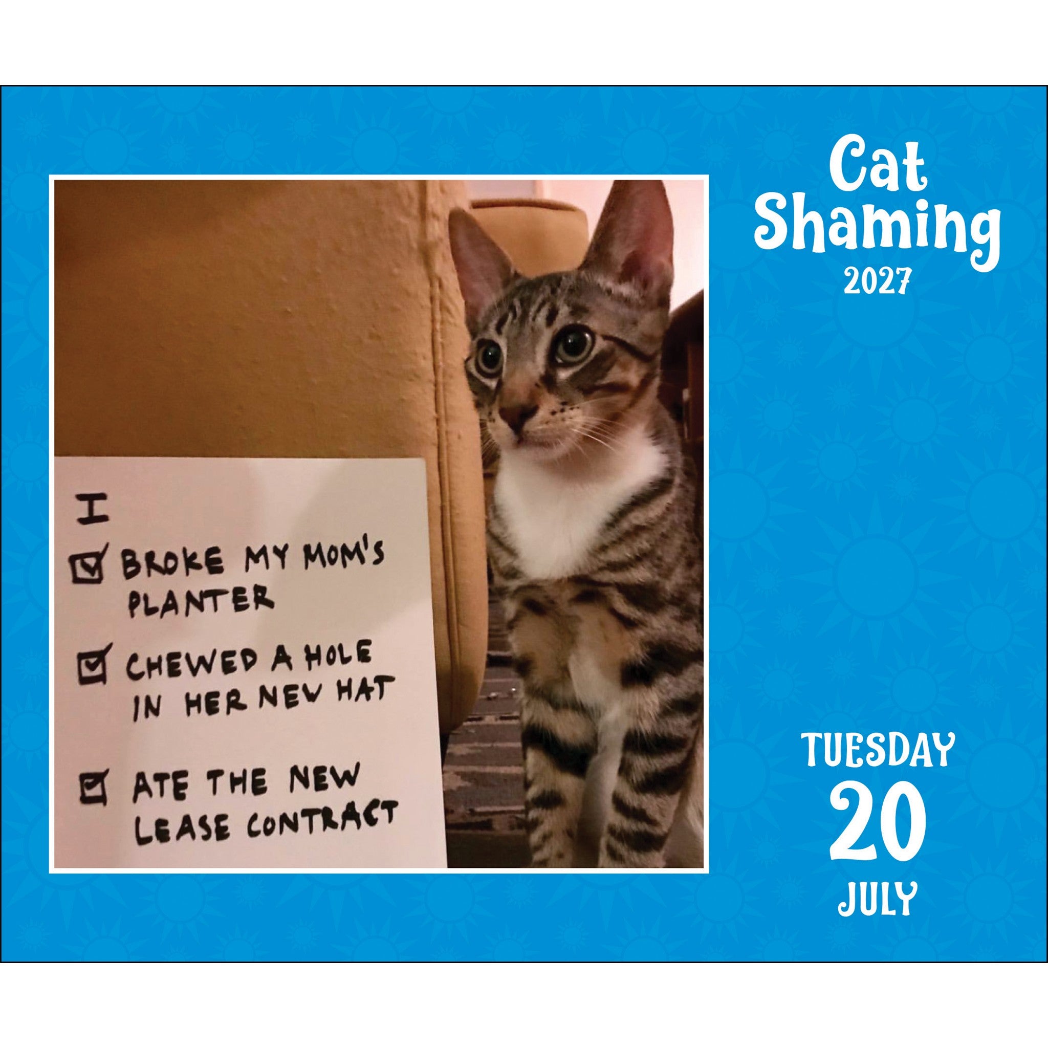 Cat Shaming 2027 Box Calendar