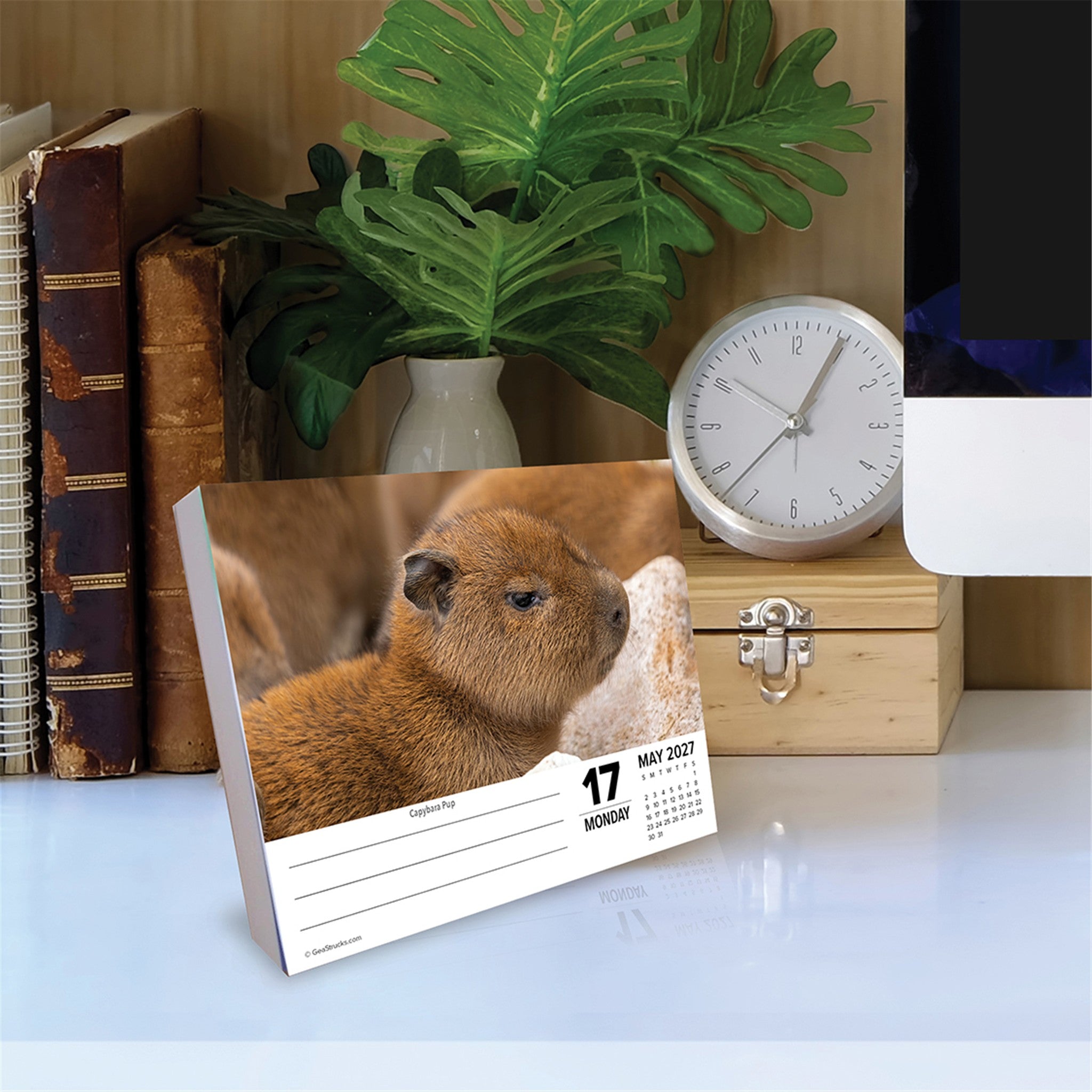 Baby Animals 2027 Box Calendar - Online Only