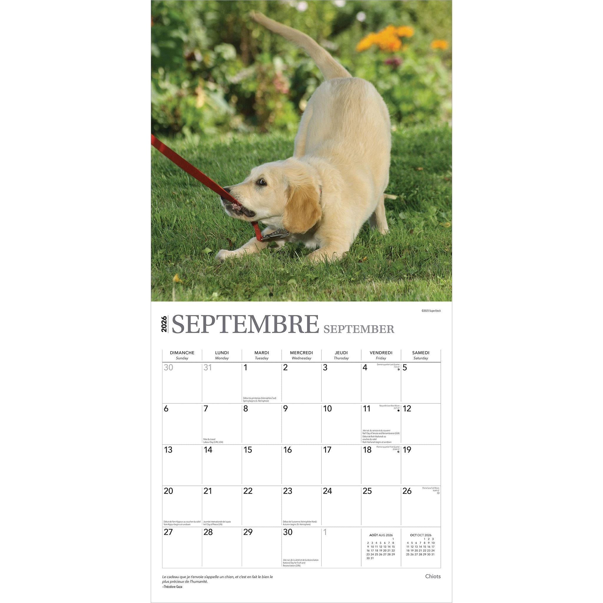 Chiots 2026 Calendrier de 12 Mois (Français)