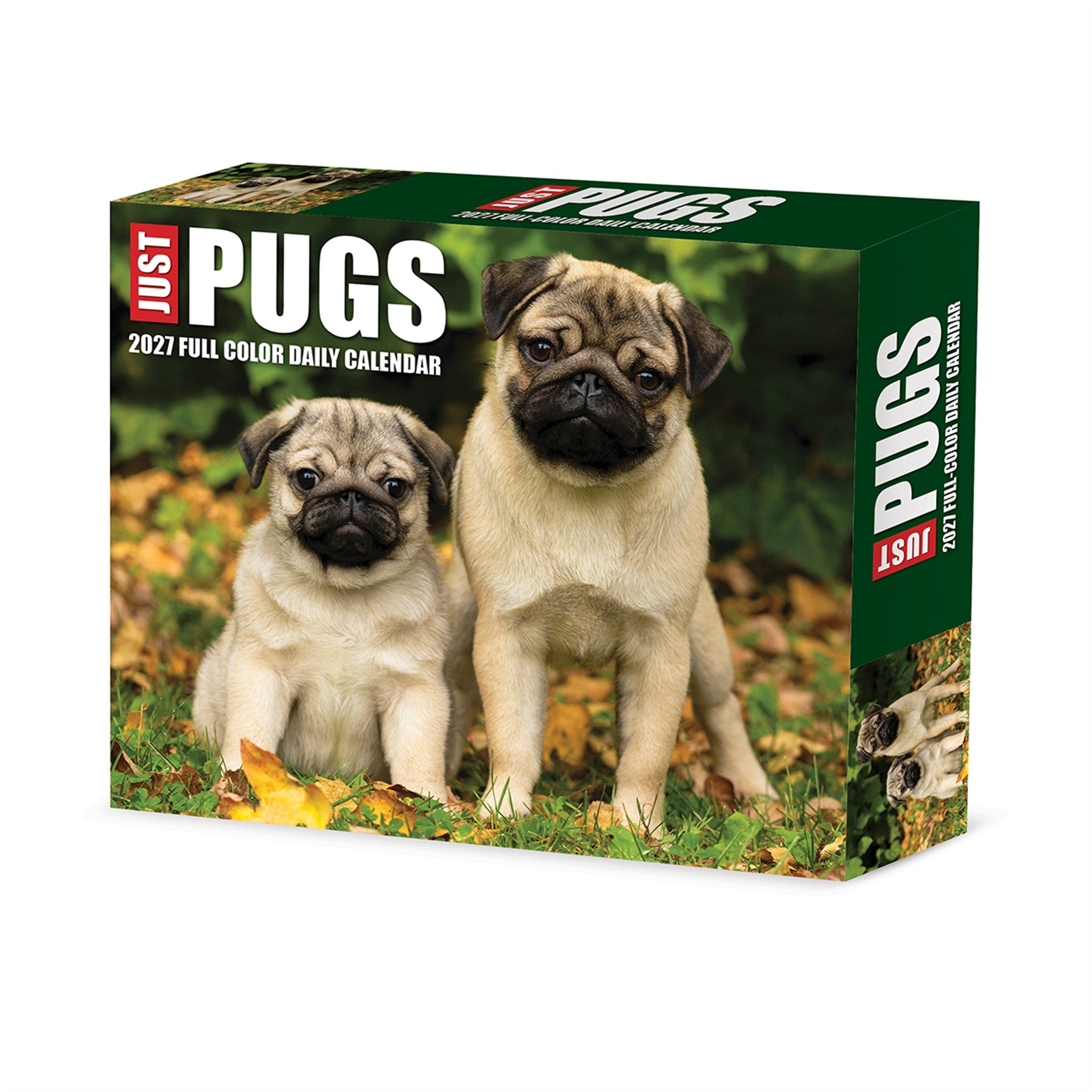 Pugs 2027 Box Calendar - Online Only