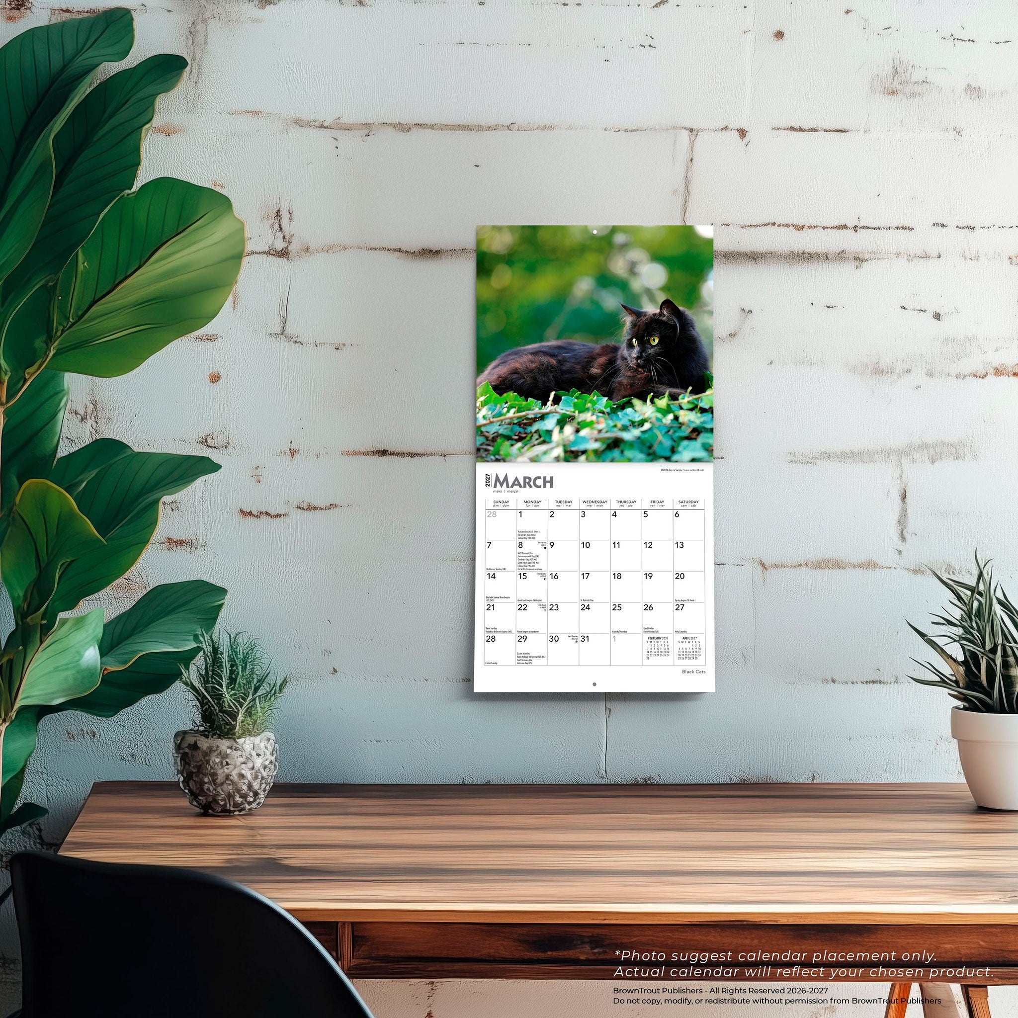 Black Cats 2027 Mini Calendar