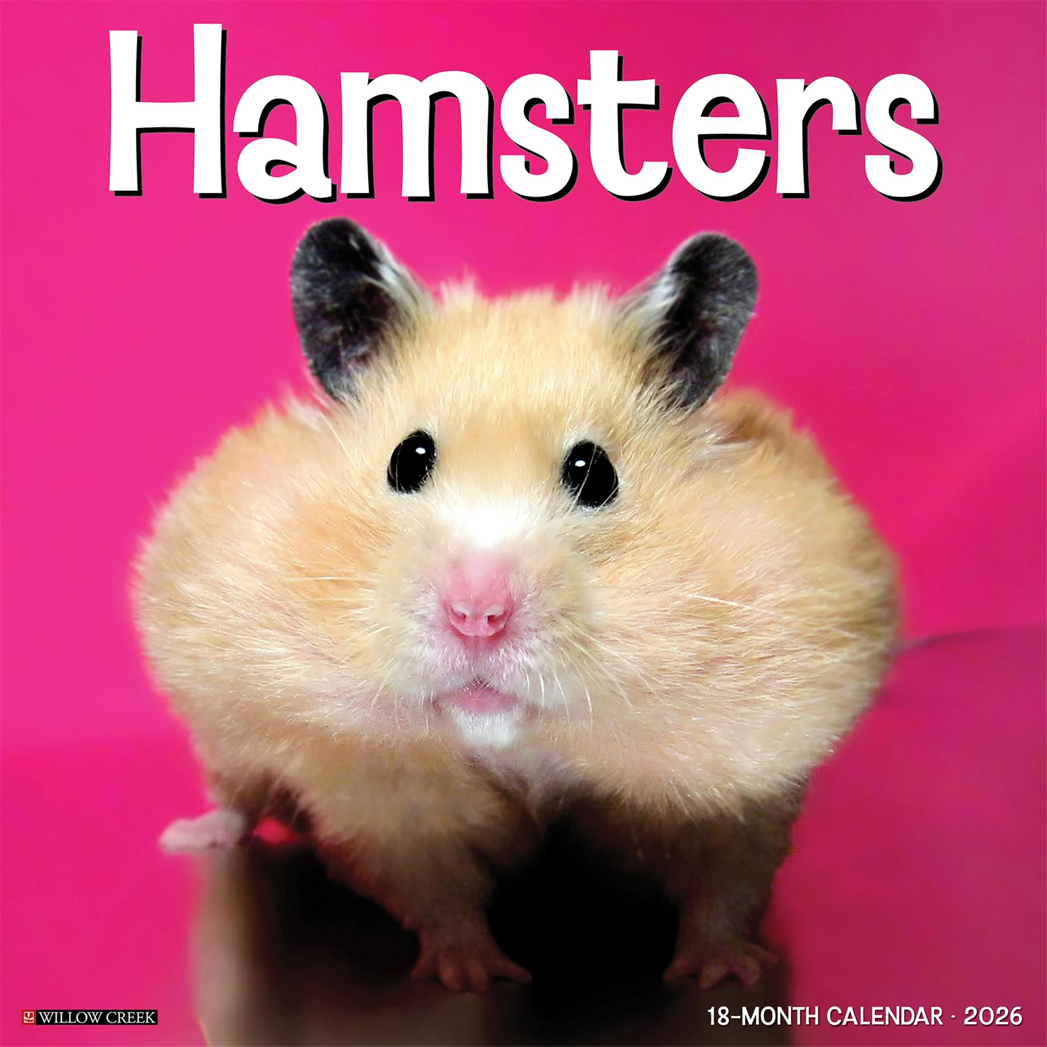 Calendrier mural Hamsters 2026
