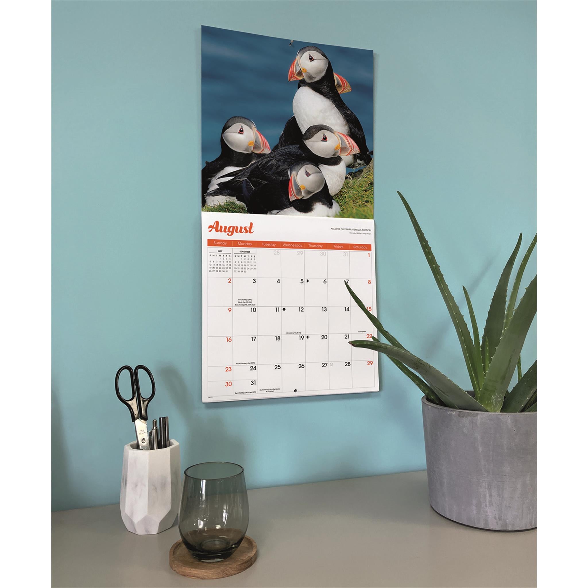 Calendrier mural Puffins 2026