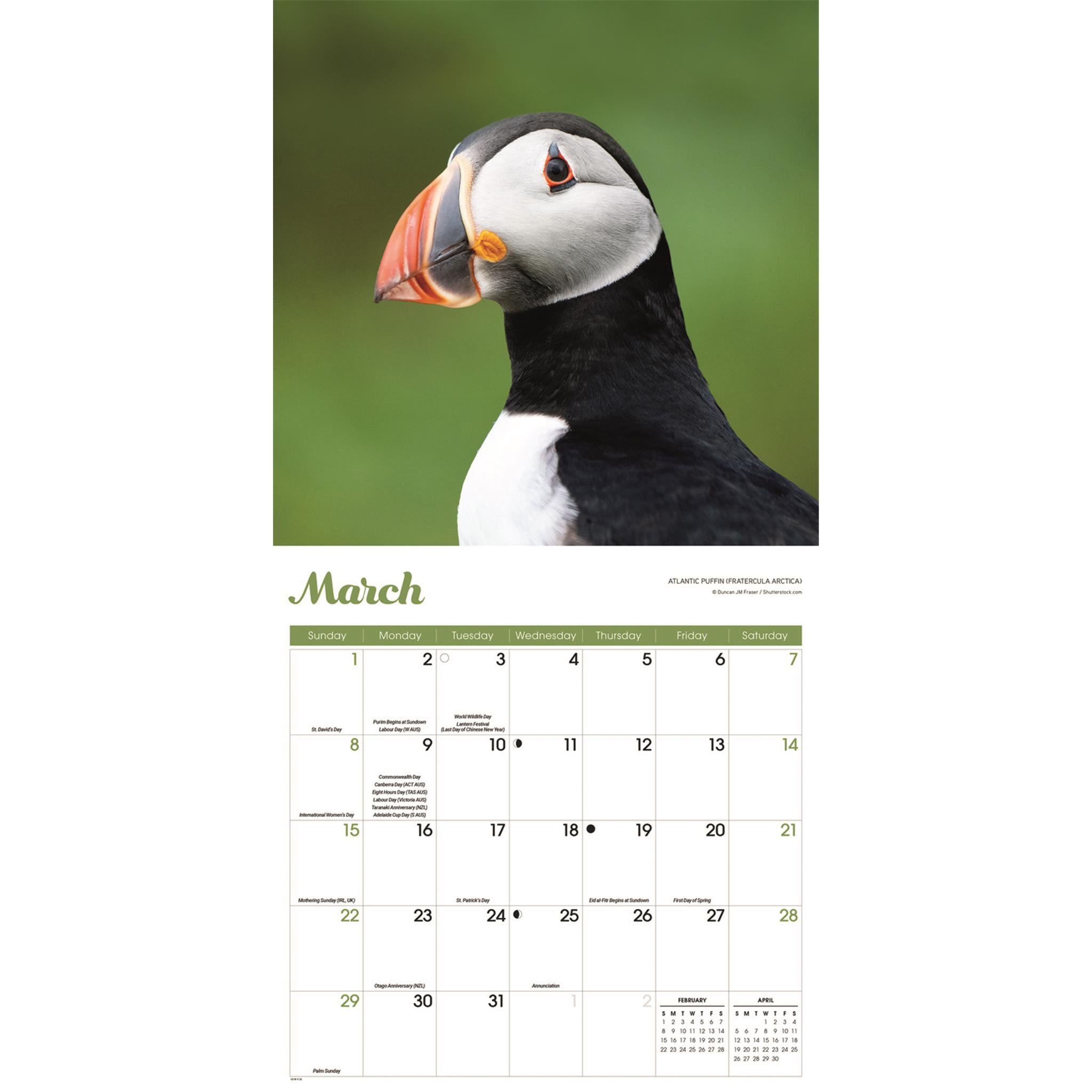 Calendrier mural Puffins 2026
