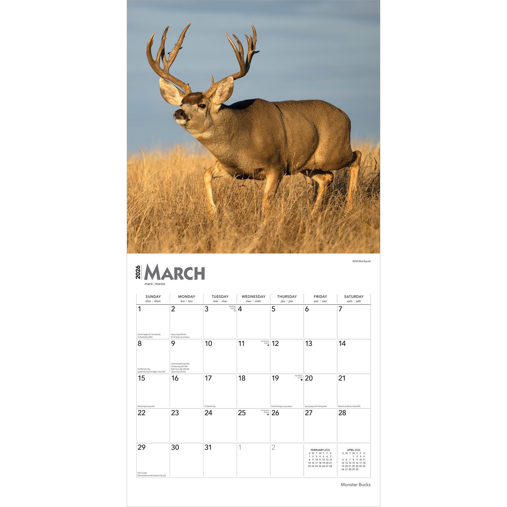 Monster Bucks 2026 Wall Calendar - Online Only