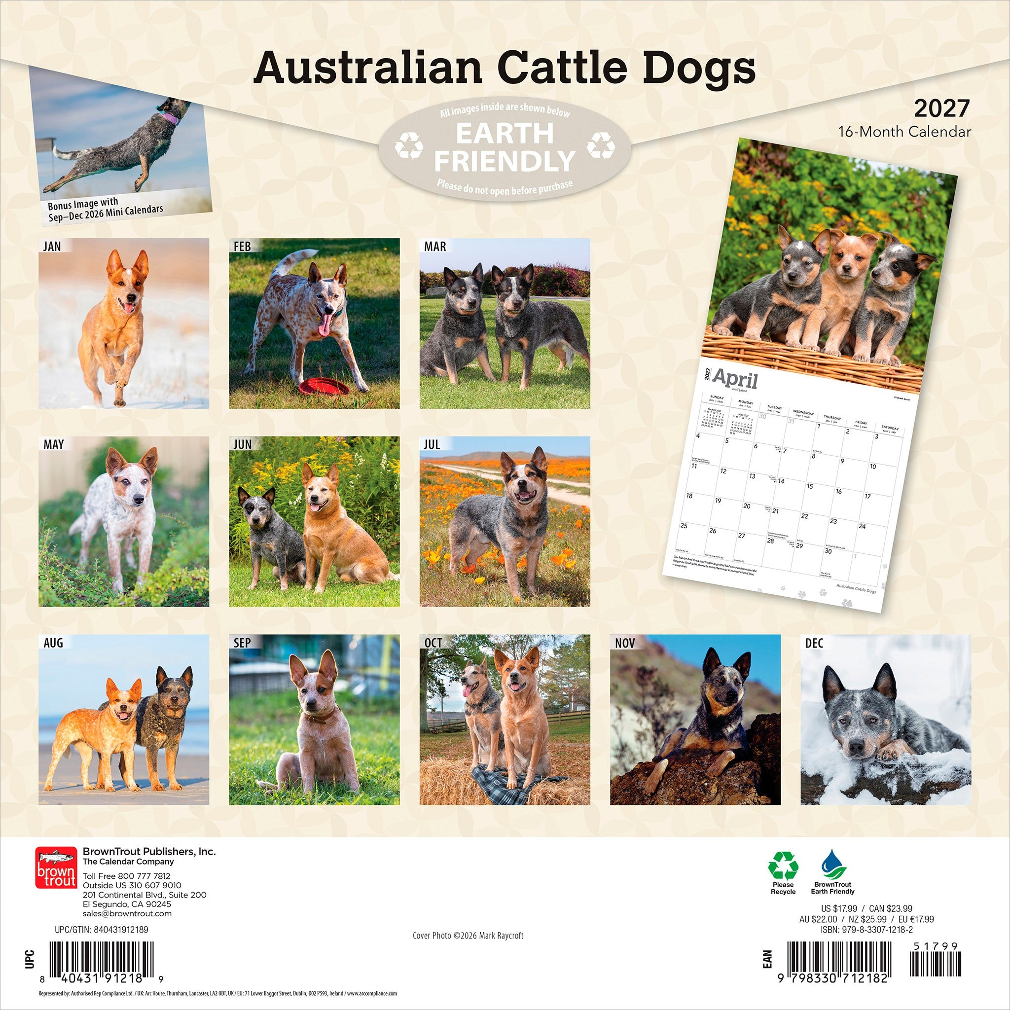 Australian Cattle Dogs 2027 Wall Calendar - Online Only