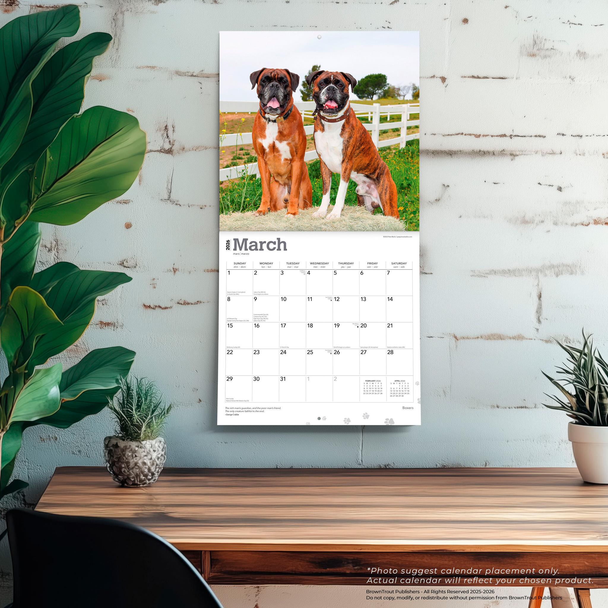 Boxers International 2026 Wall Calendar