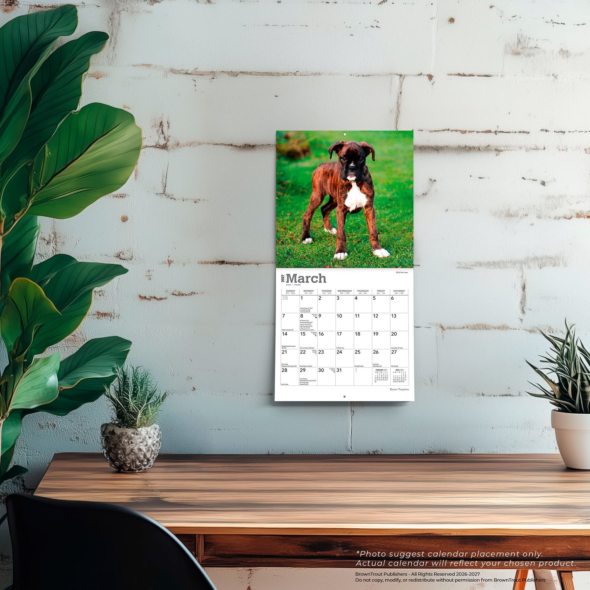 Boxer Puppies 2027 Mini Calendar