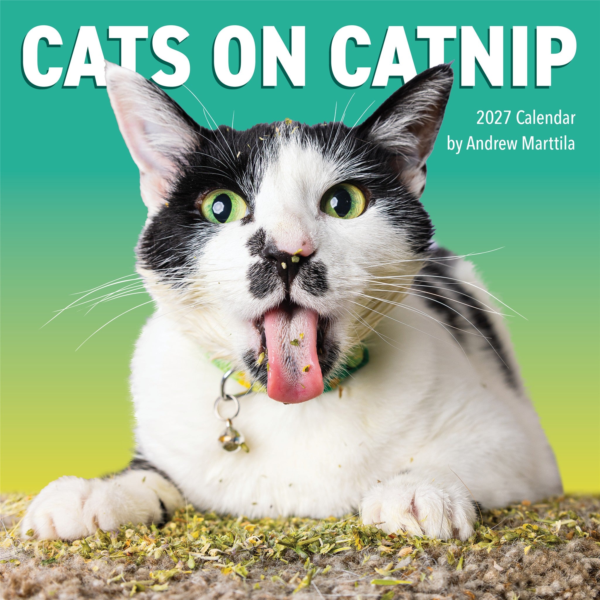 Calendrier mural 2027 : Chats sous l'effet de l'herbe à chat