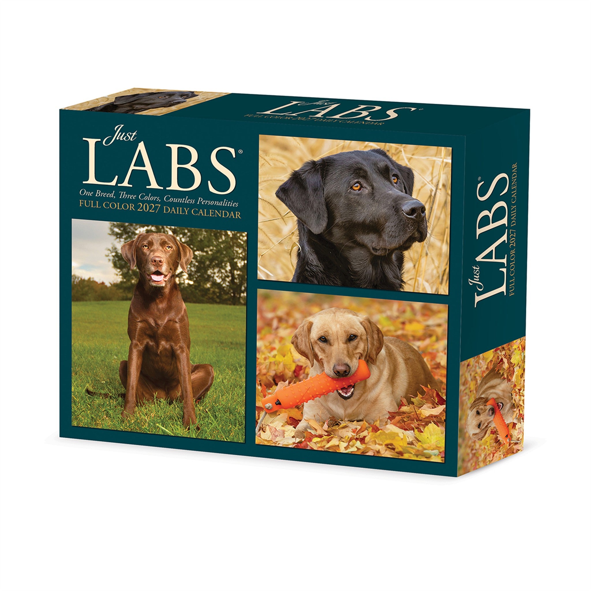 Labs 2027 Box Calendar - Online Only