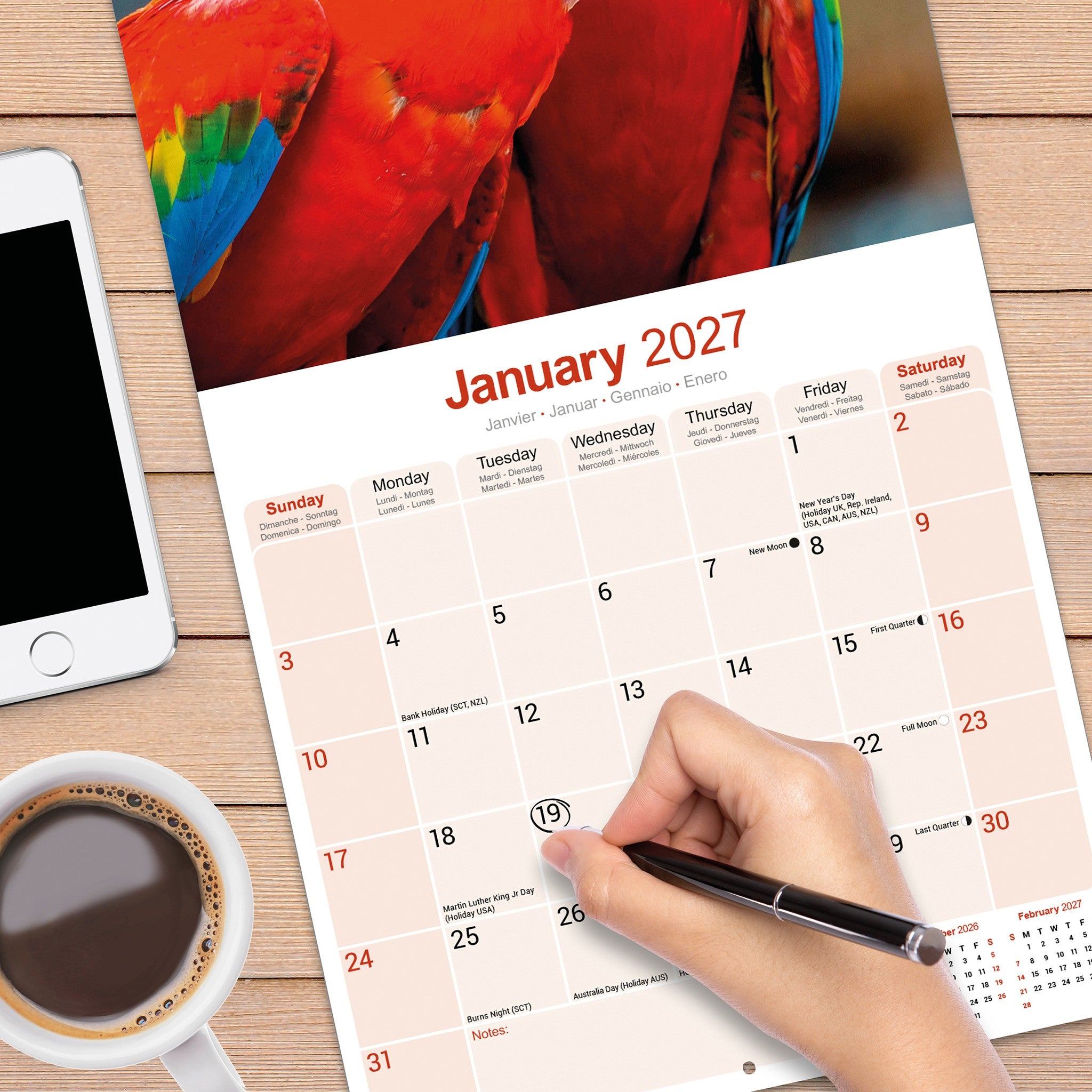 Macaws 2027 Wall Calendar