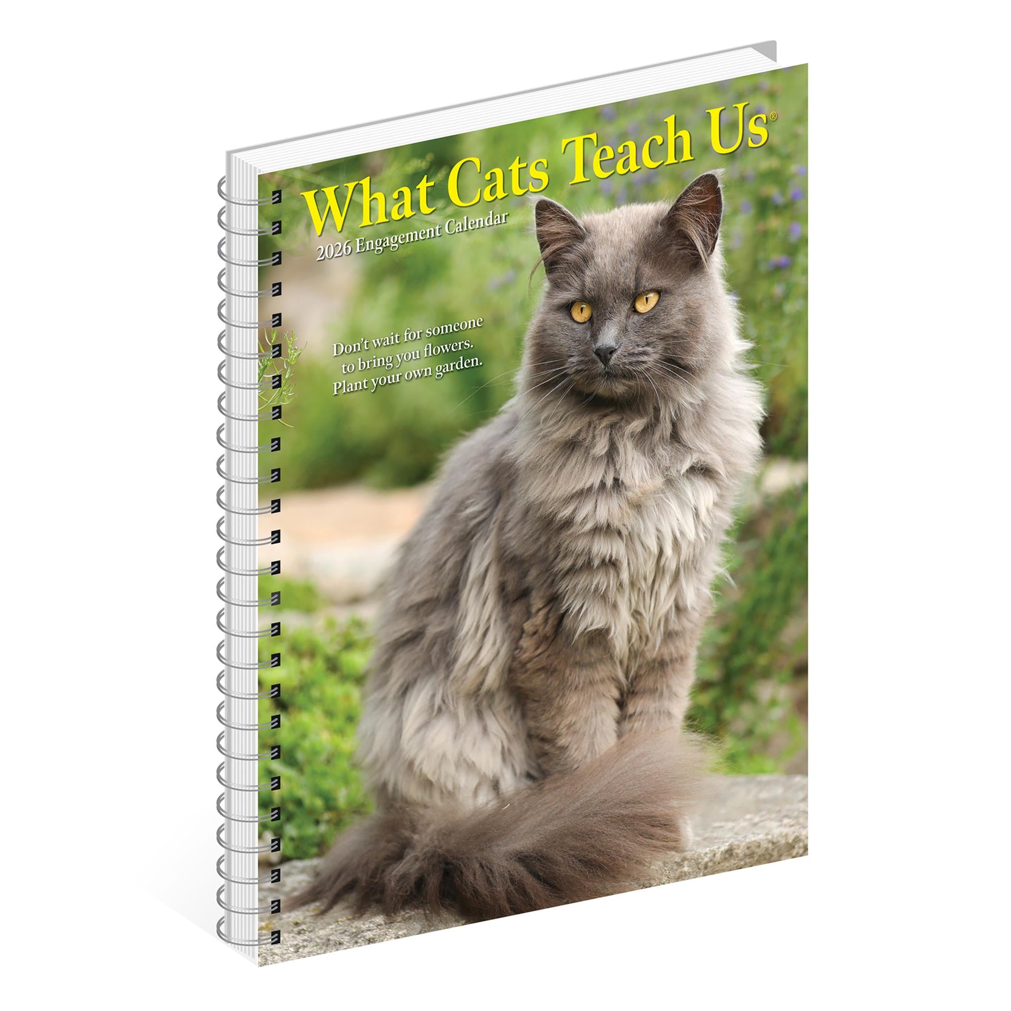 What Cats Teach Us 2026 Engagement Calendar