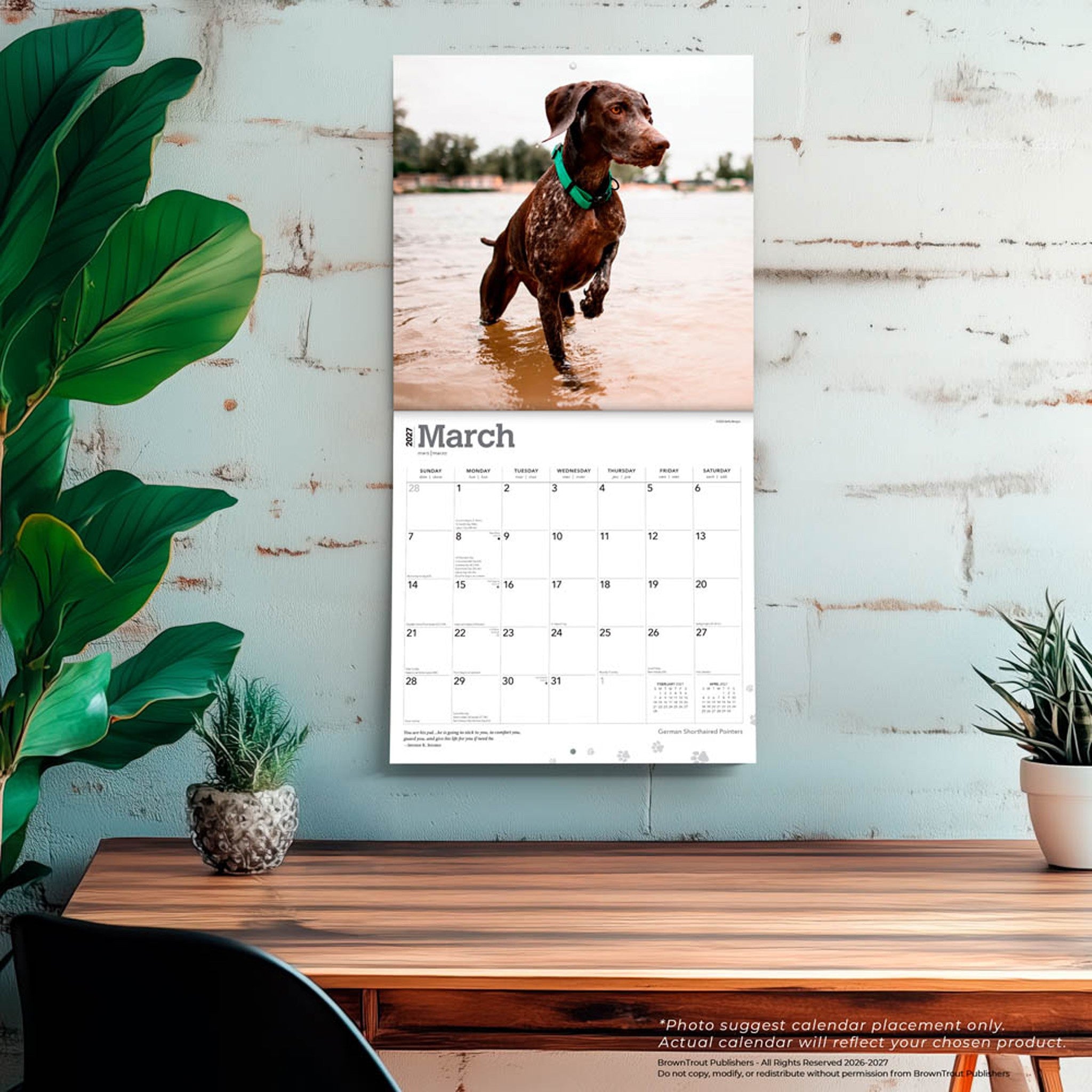 German Shorthaired Pointers 2027 Wall Calendar