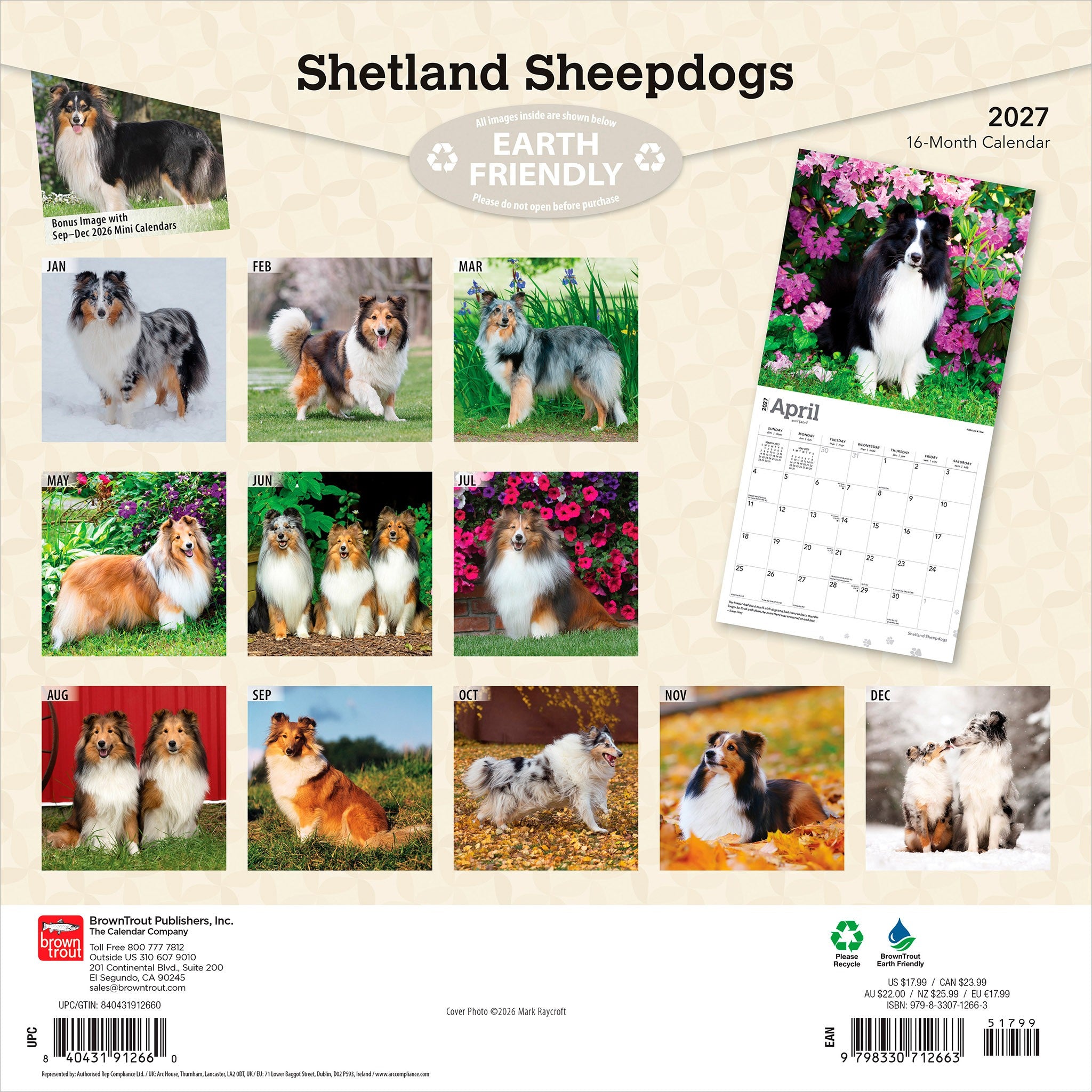Shetland Sheepdogs 2027 Wall Calendar