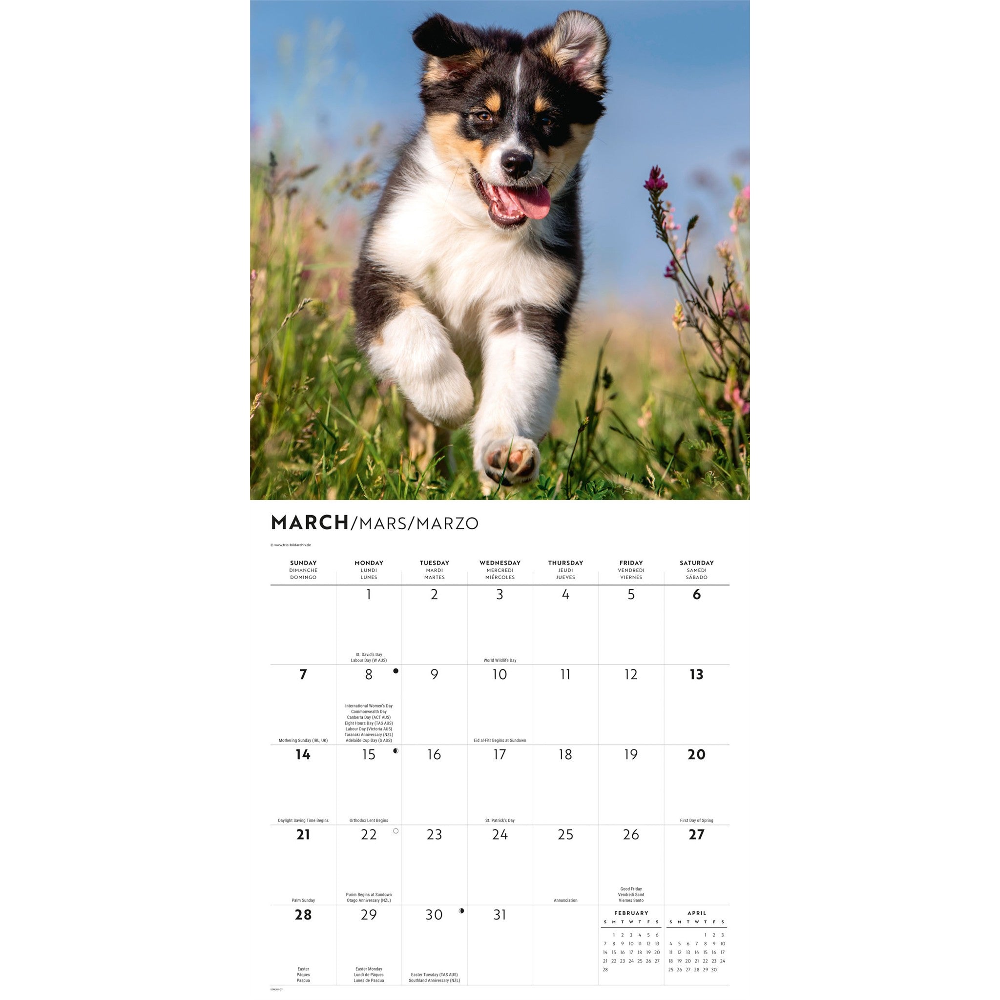 Calendrier mural Bergers australiens 2027