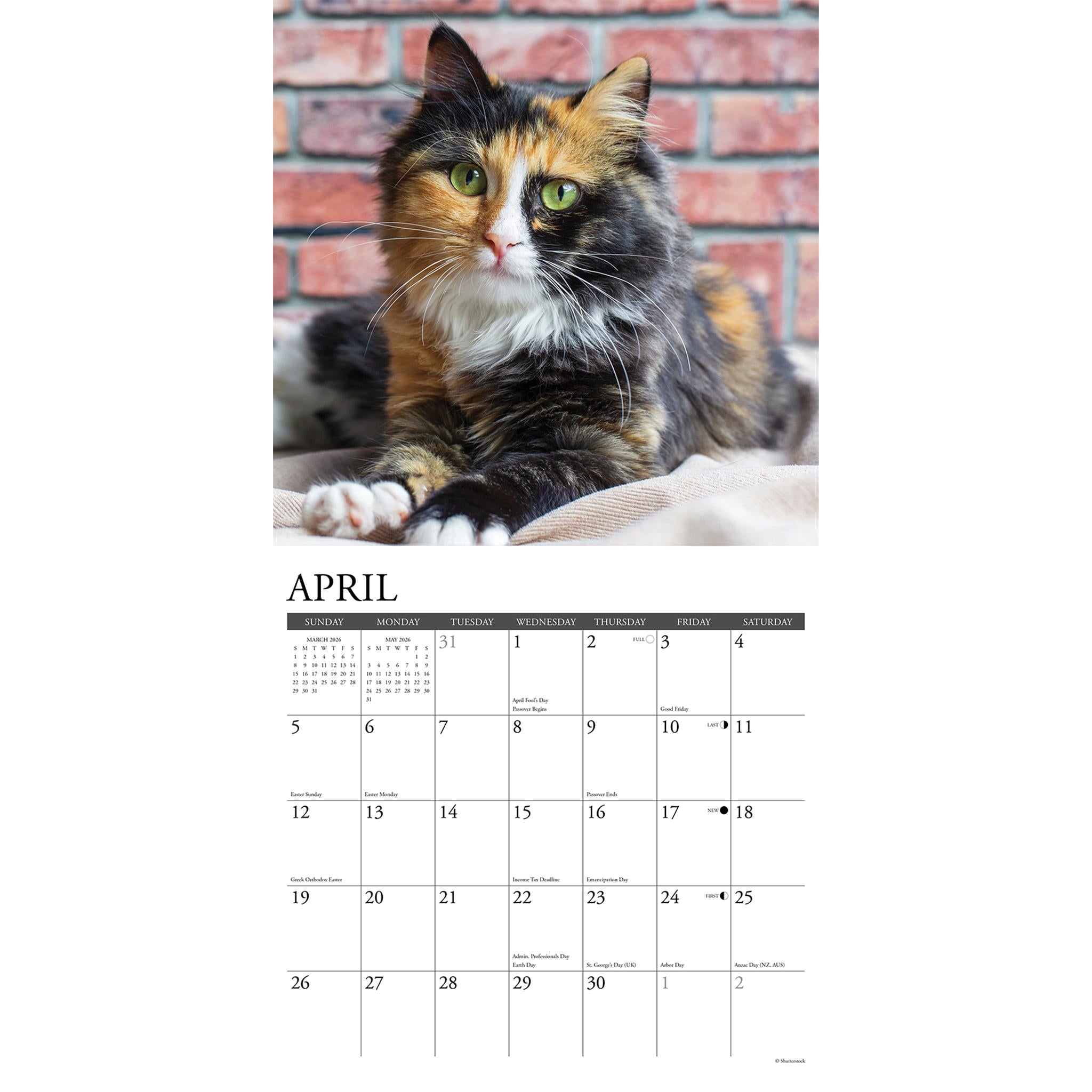 Calico Cats 2026 Just Wall Calendar