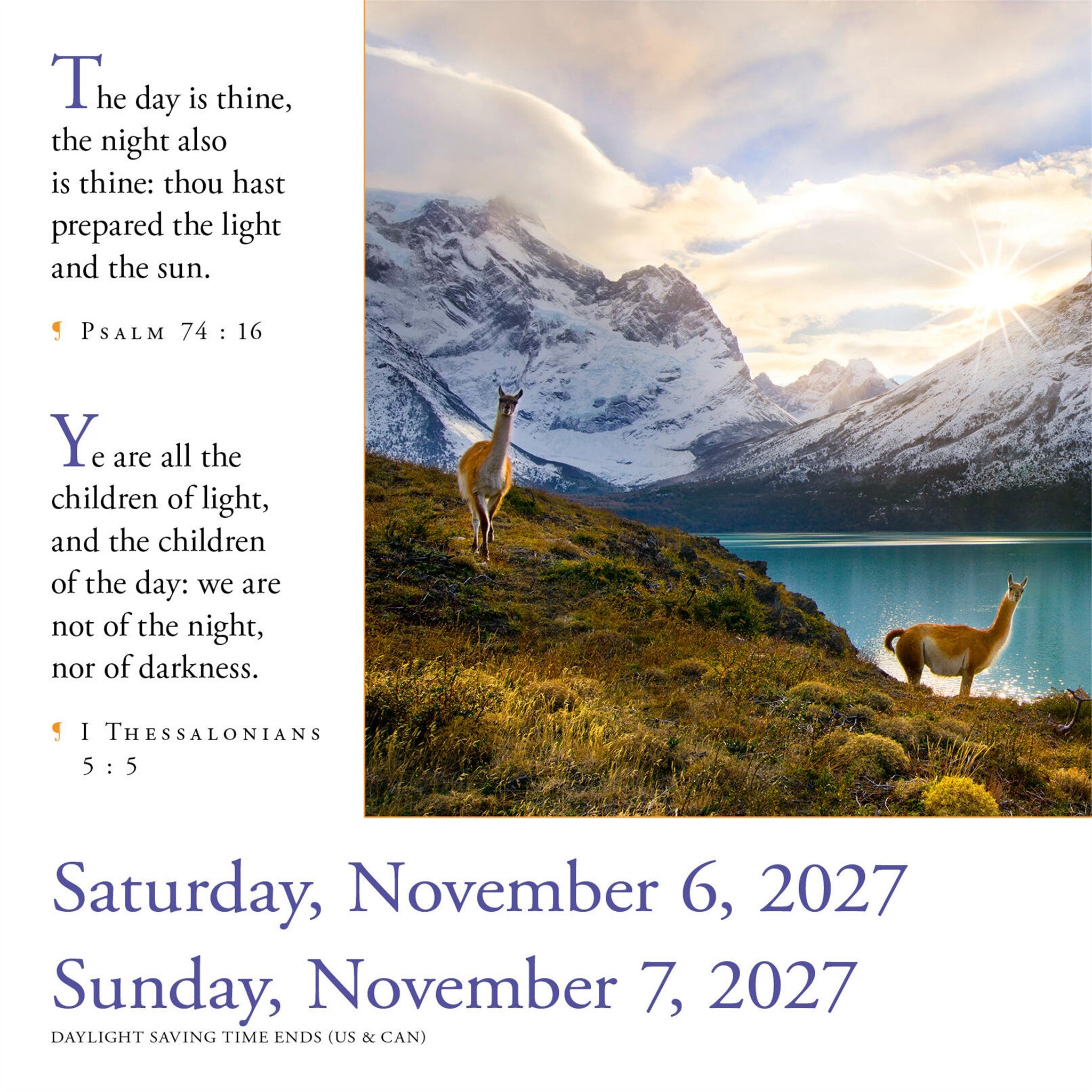 365 Bible Verses a Year for 2027 Box Calendar