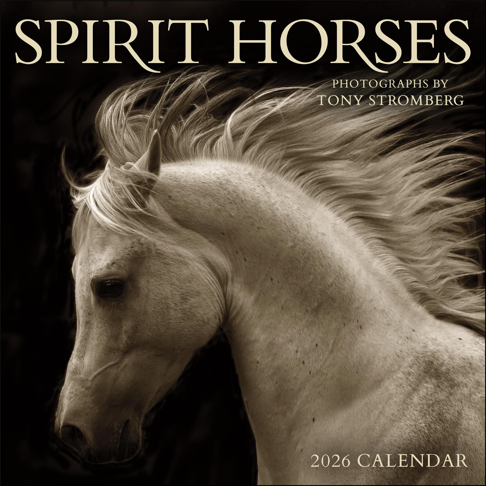 Calendrier mural Spirit Horses 2026