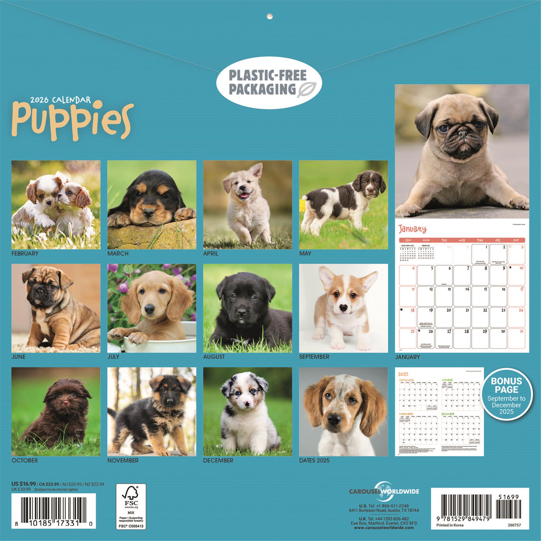 Calendrier mural Chiots 2026