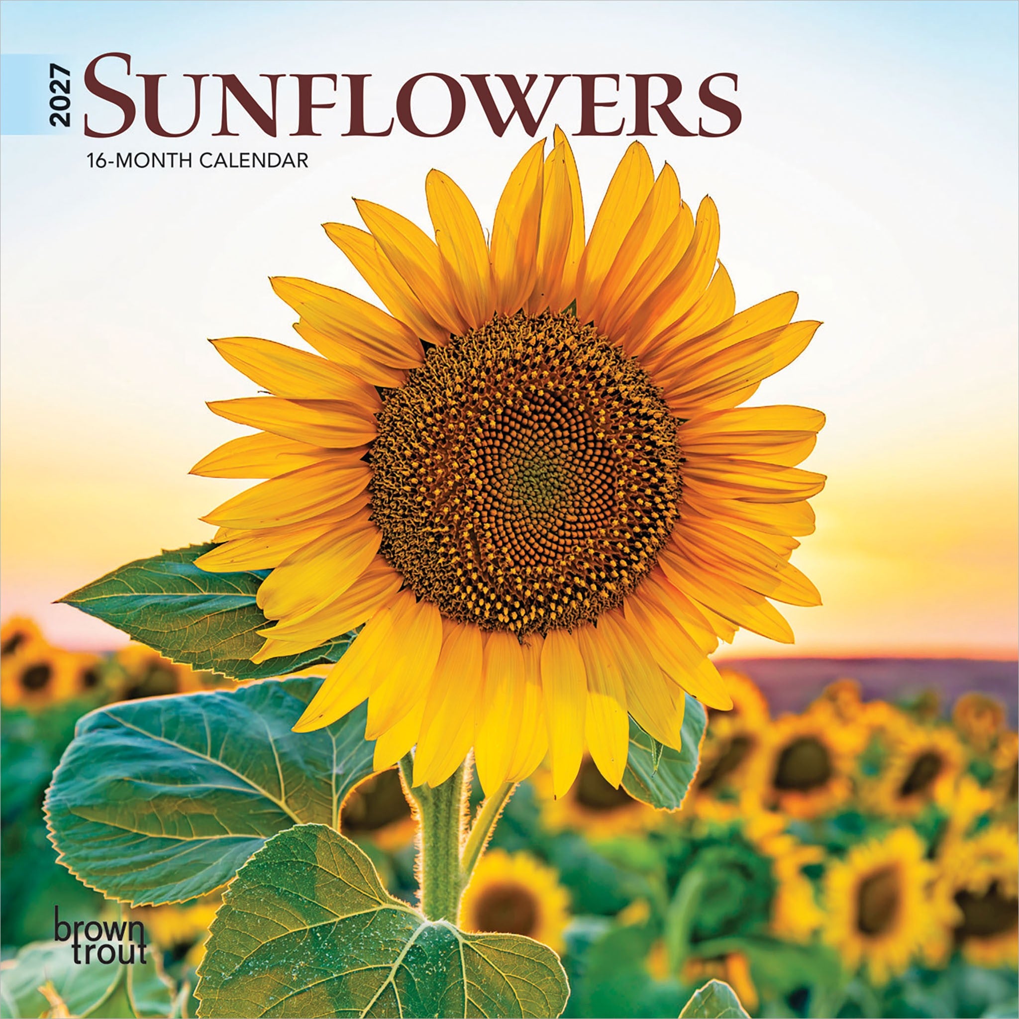 Sunflowers 2027 Mini Calendar