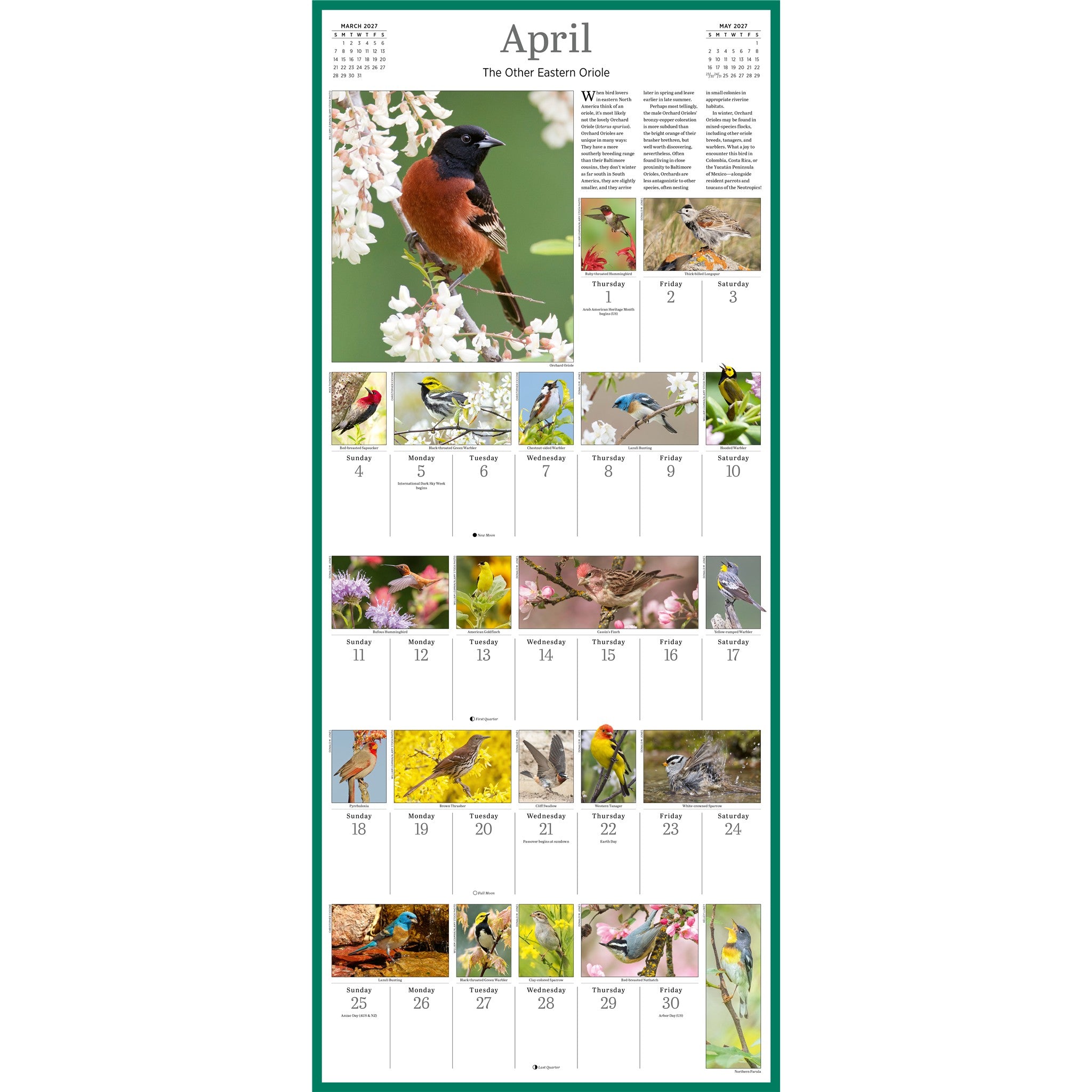Audubon Songbirds 365 2027 Wall Calendar