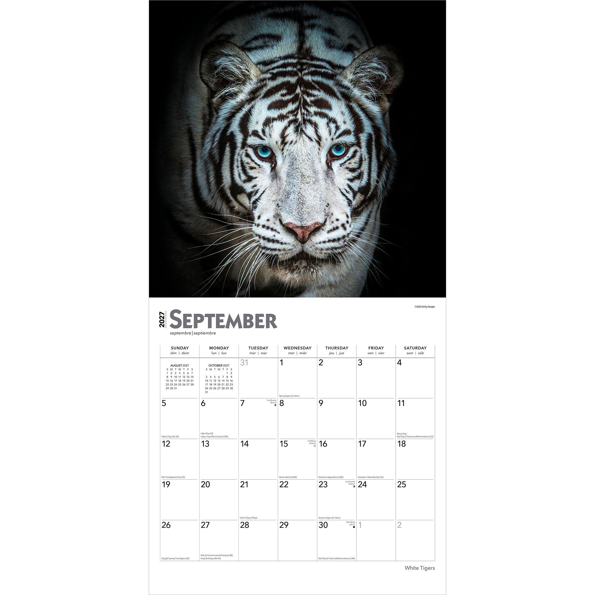 White Tigers 2027 Wall Calendar
