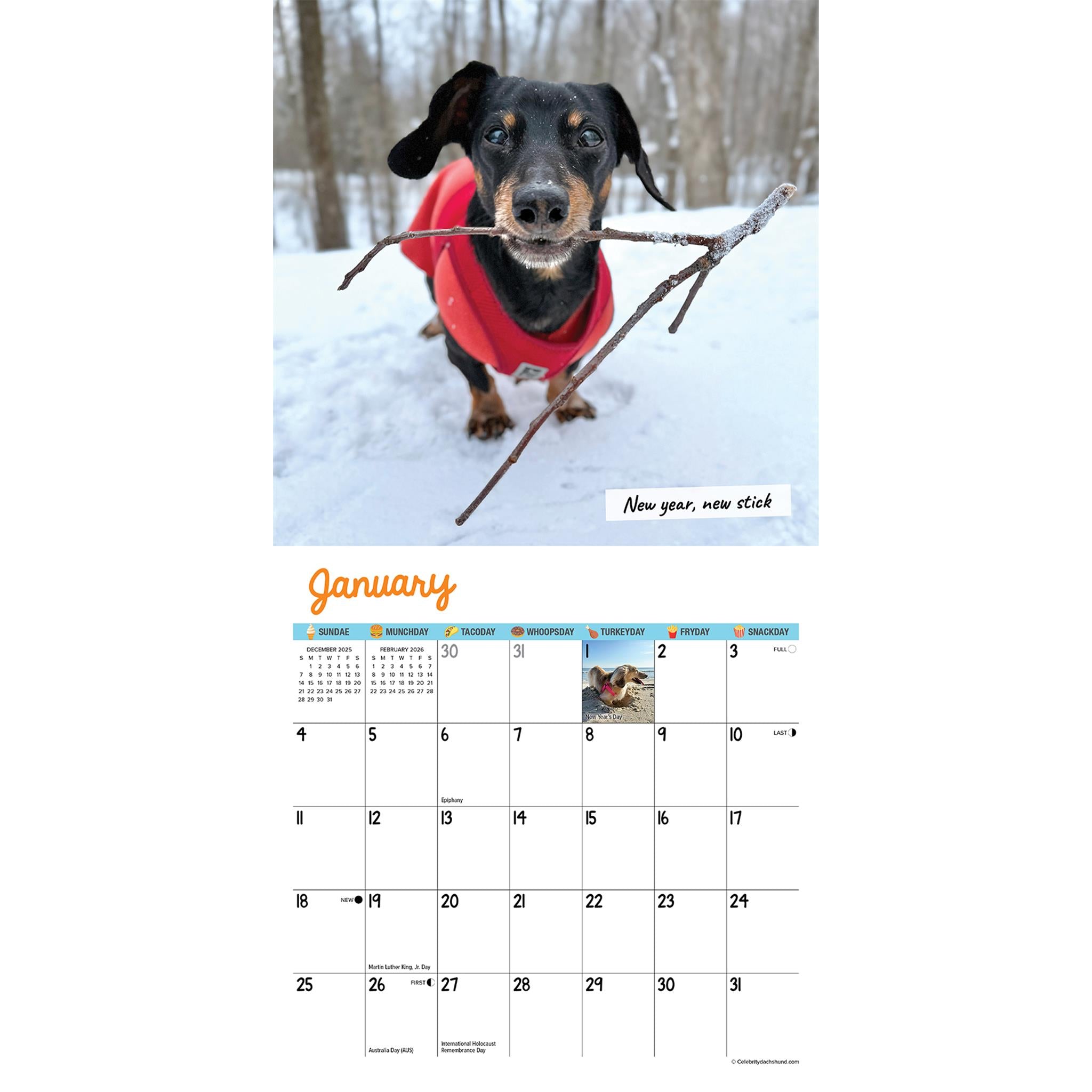 Crusoe Dachshund 2026 Mini Calendar