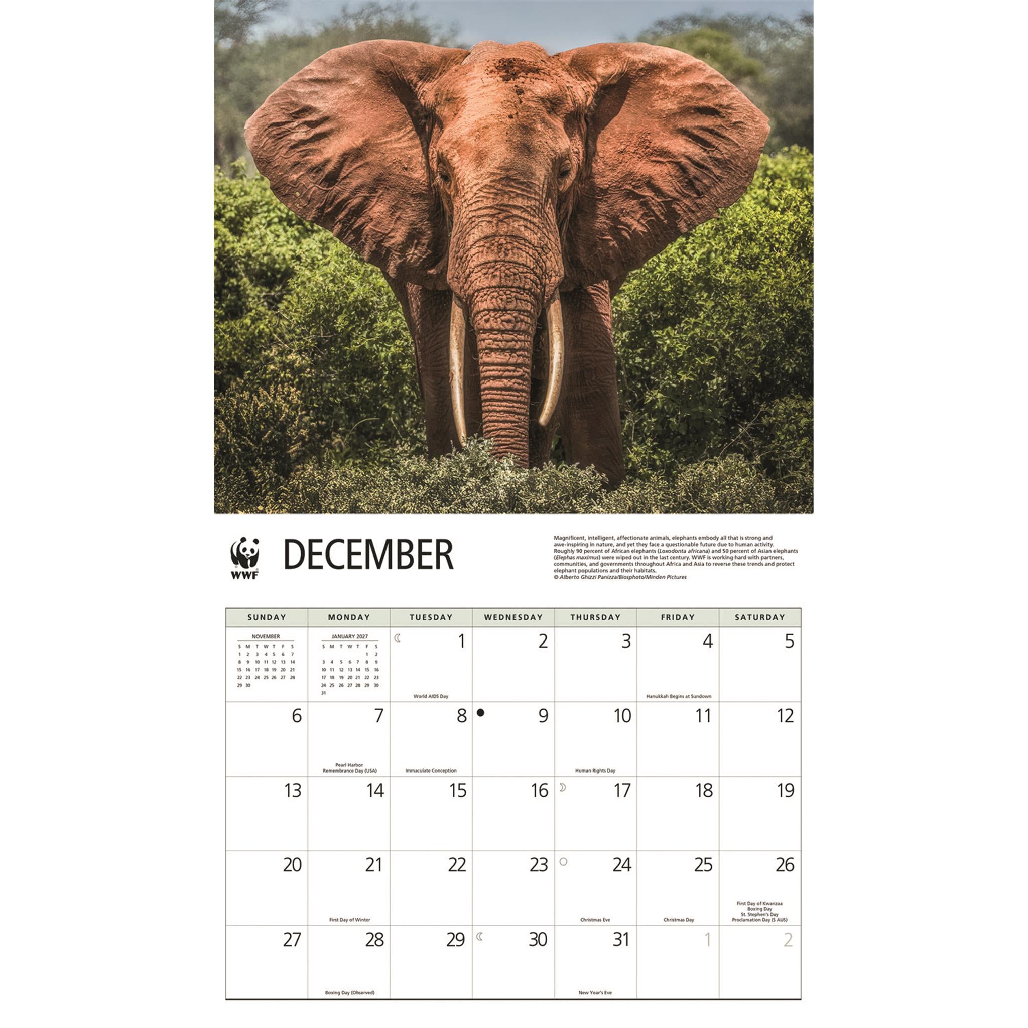 World Wildlife Fund Elephants 2026 Wall Calendar