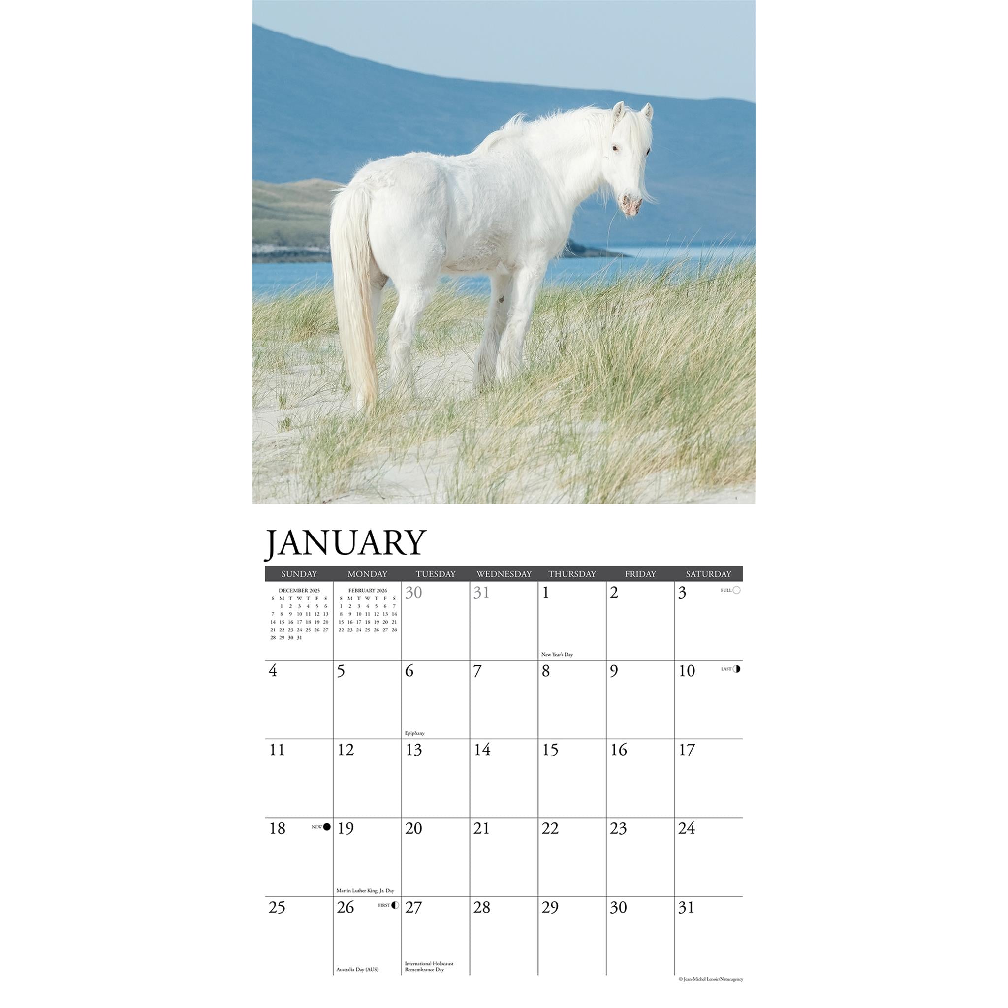 Calendrier mural Chevaux sauvages 2026