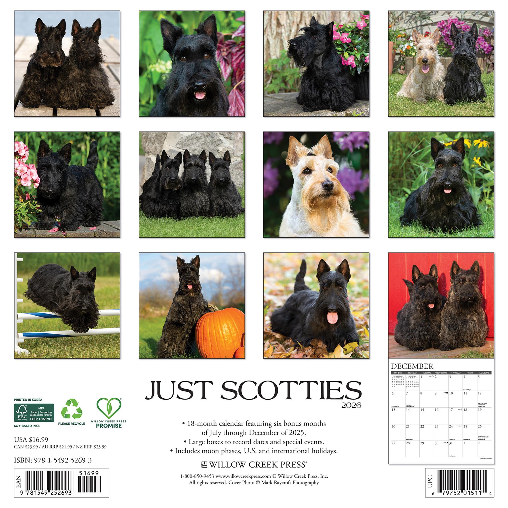 Calendrier mural Just Scotties 2026