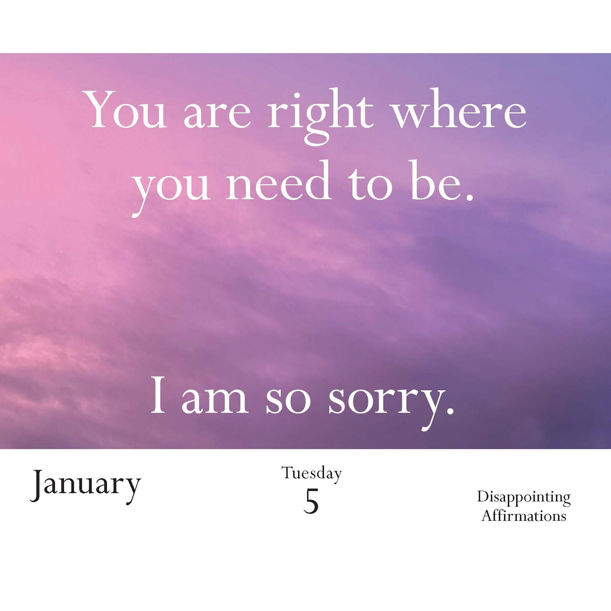 Disappointing Affirmations 2027 Box Calendar