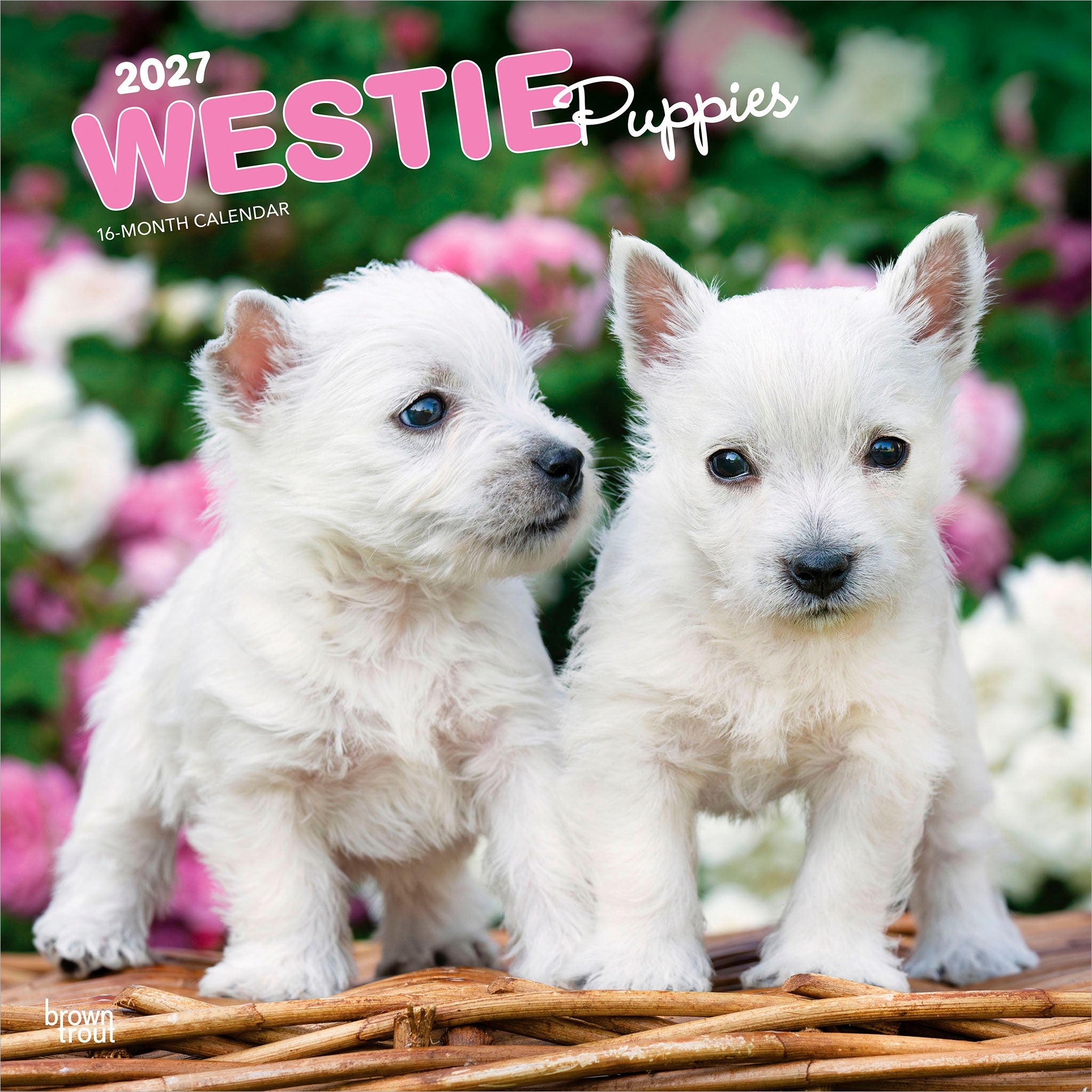 West Highland White Terrier Puppies 2027 Mini Calendar