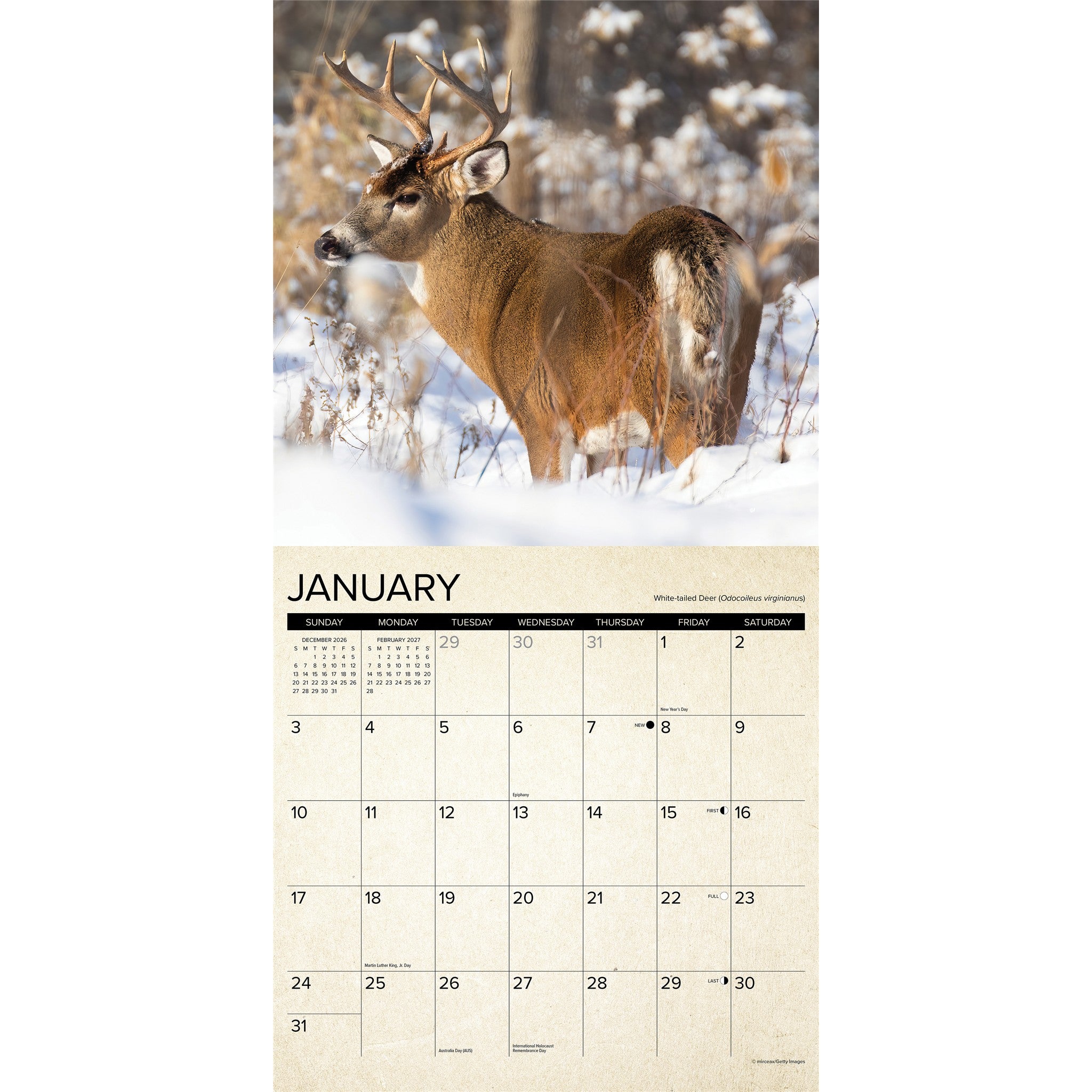 Canadian Fish & Wild Game 2027 Wall Calendar