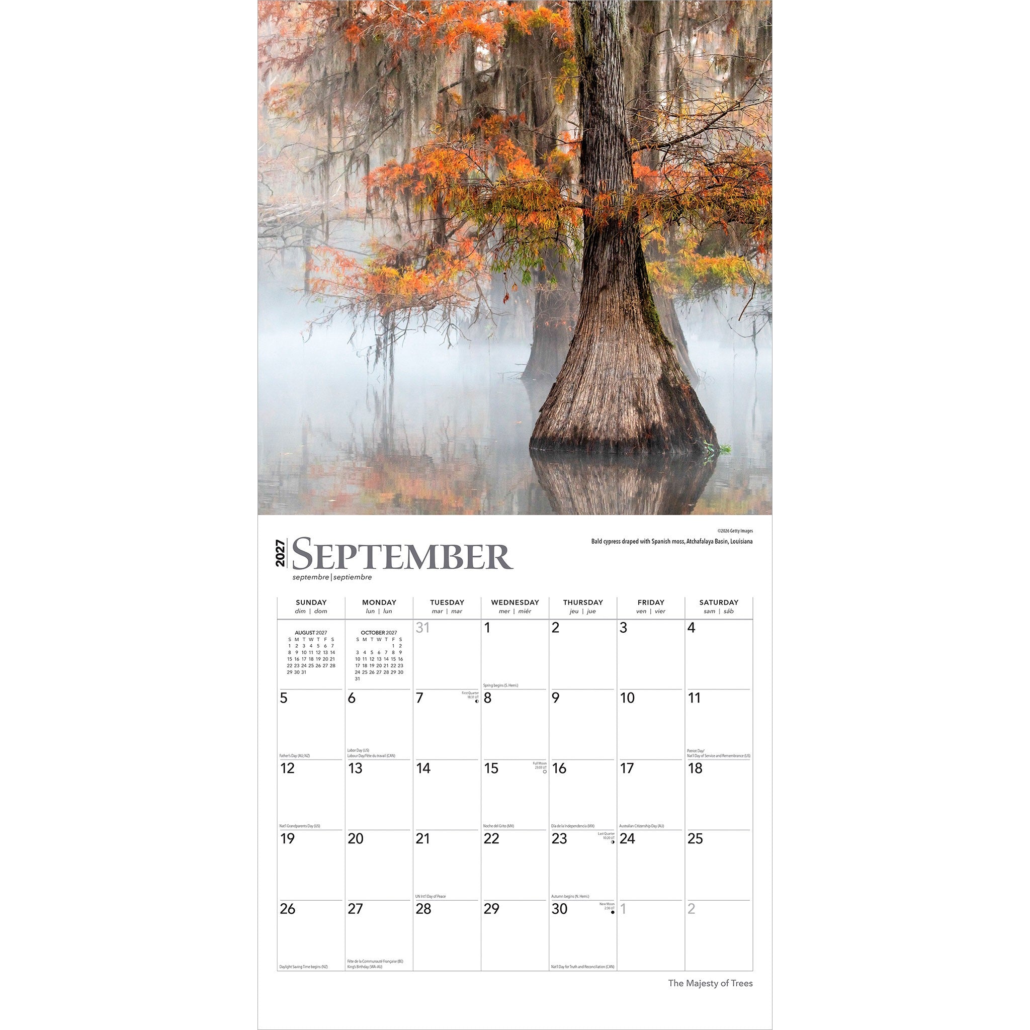 Majesty of Trees 2027 Wall Calendar - Online Only