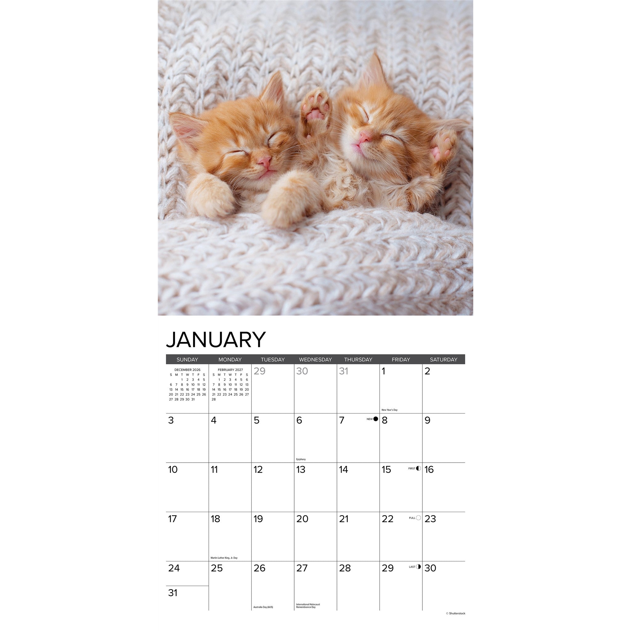 Kittens 2027 Wall Calendar